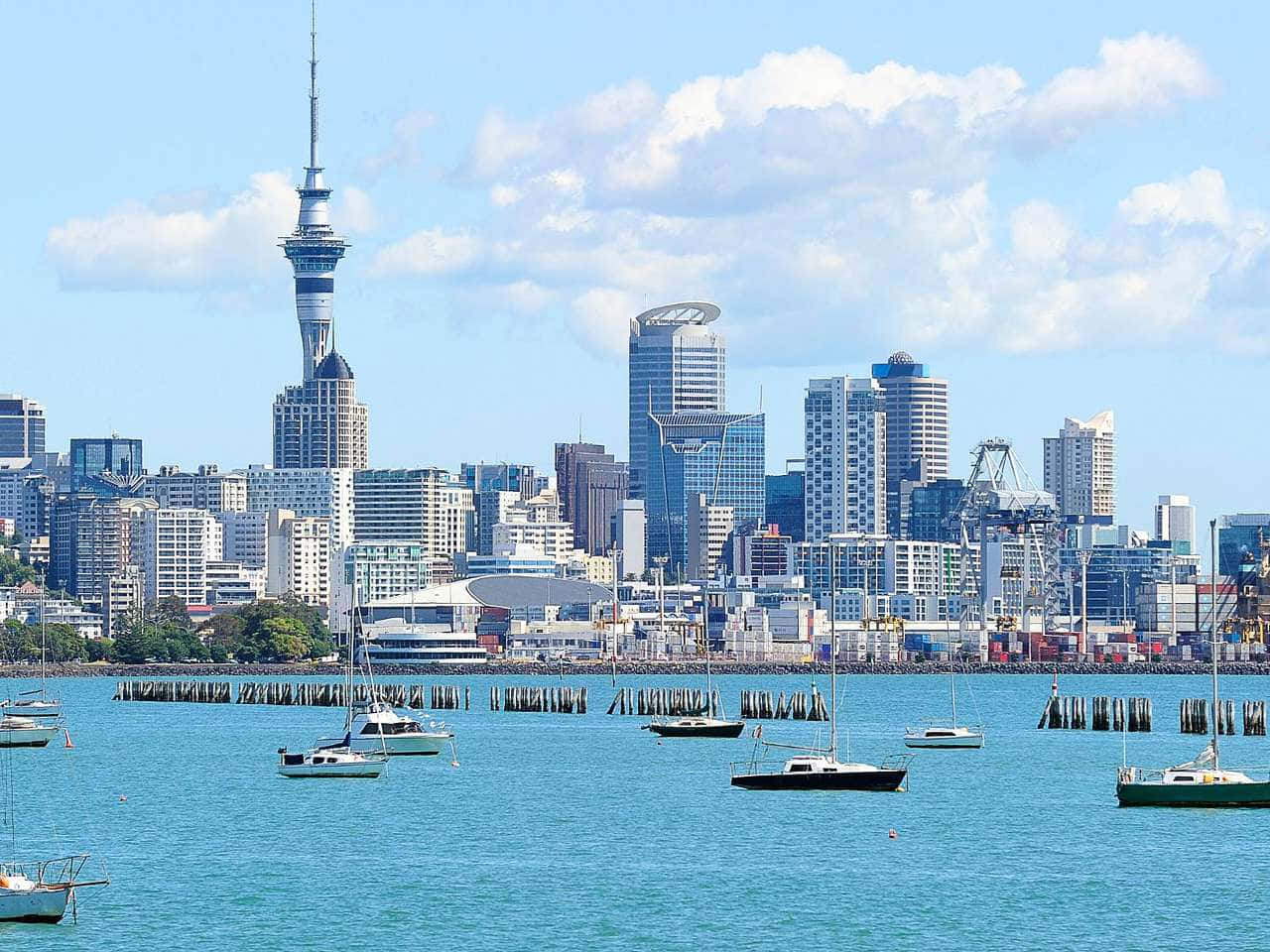 Auckland Skylineand Harbor New Zealand Wallpaper