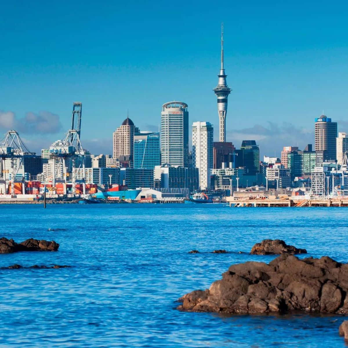 Auckland Skylineand Harbor Wallpaper