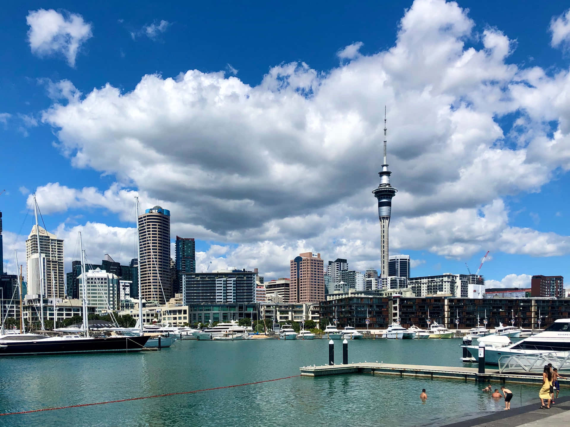 Auckland Skylineand Marina Wallpaper