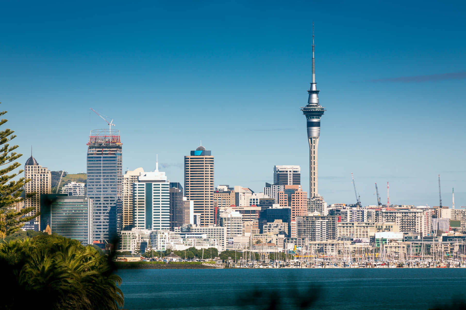 Auckland Skyline Med Sky Tower Bakgrunnsbildet