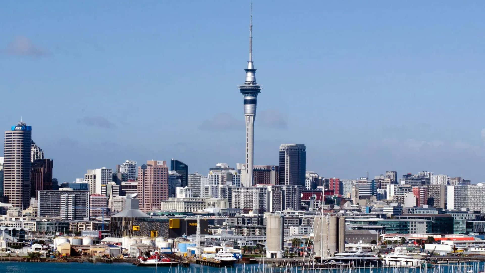 Download Auckland Skylinewith Sky Tower Wallpaper | Wallpapers.com