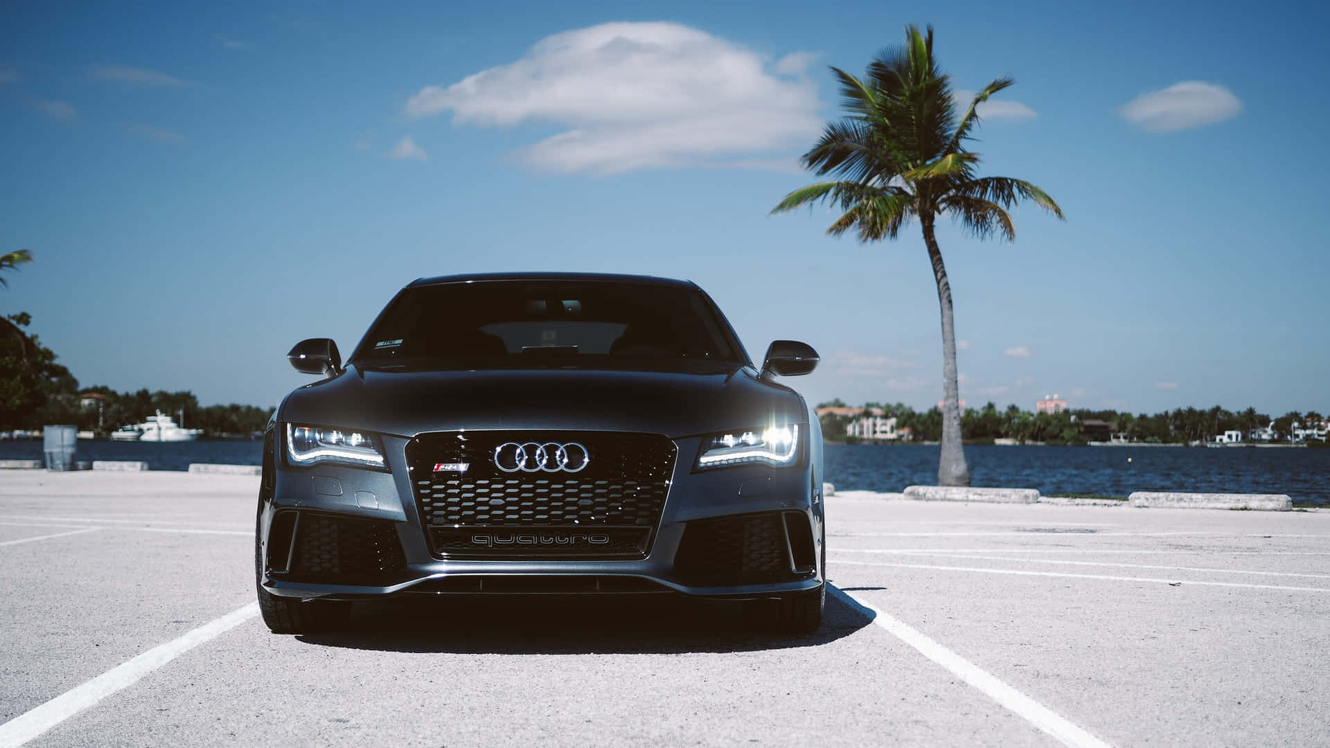Sleek and powerful Audi sports car against a stunning backdrop.