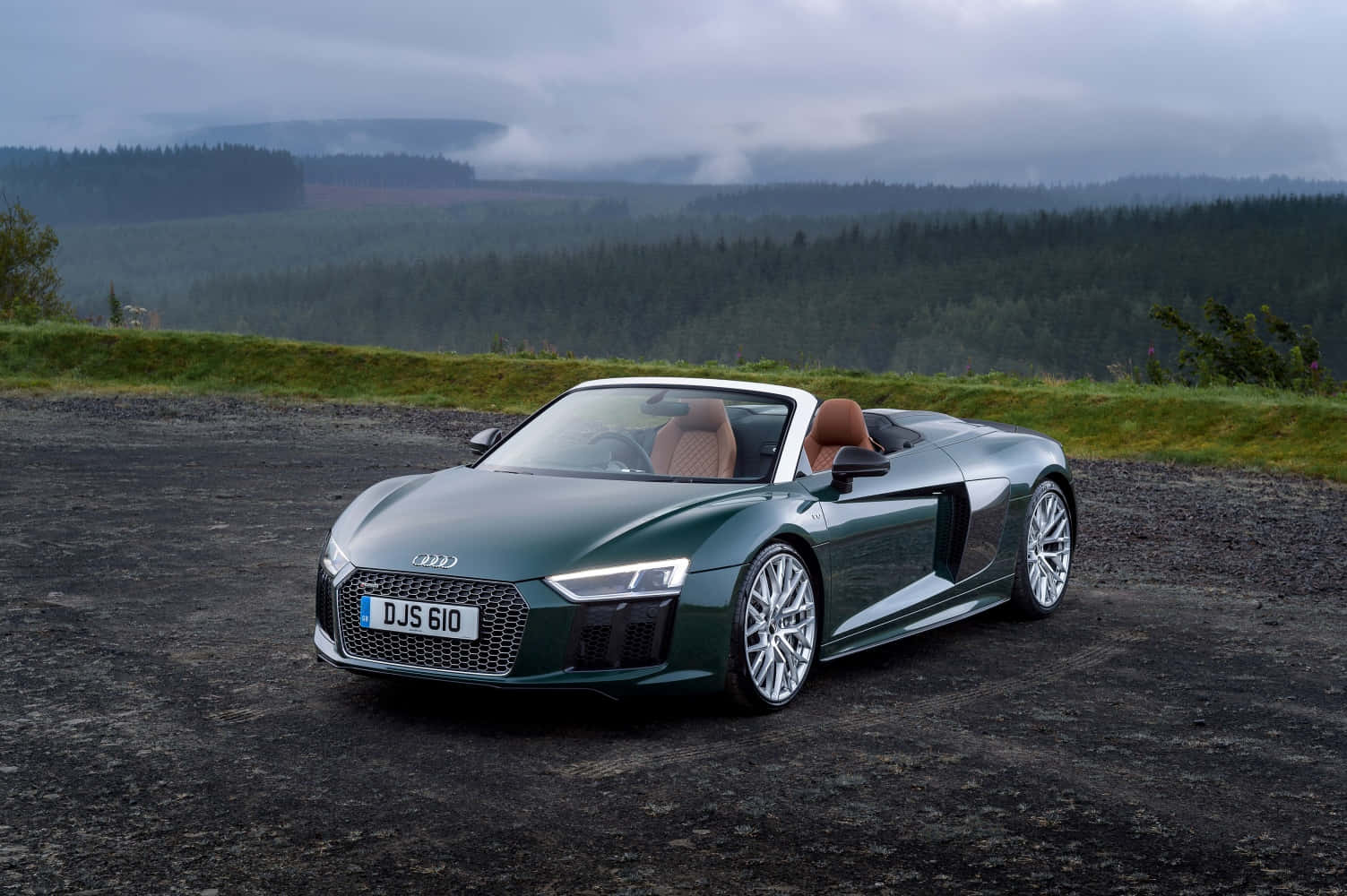 Enjoy the Luxury and Power of the Audi R8
