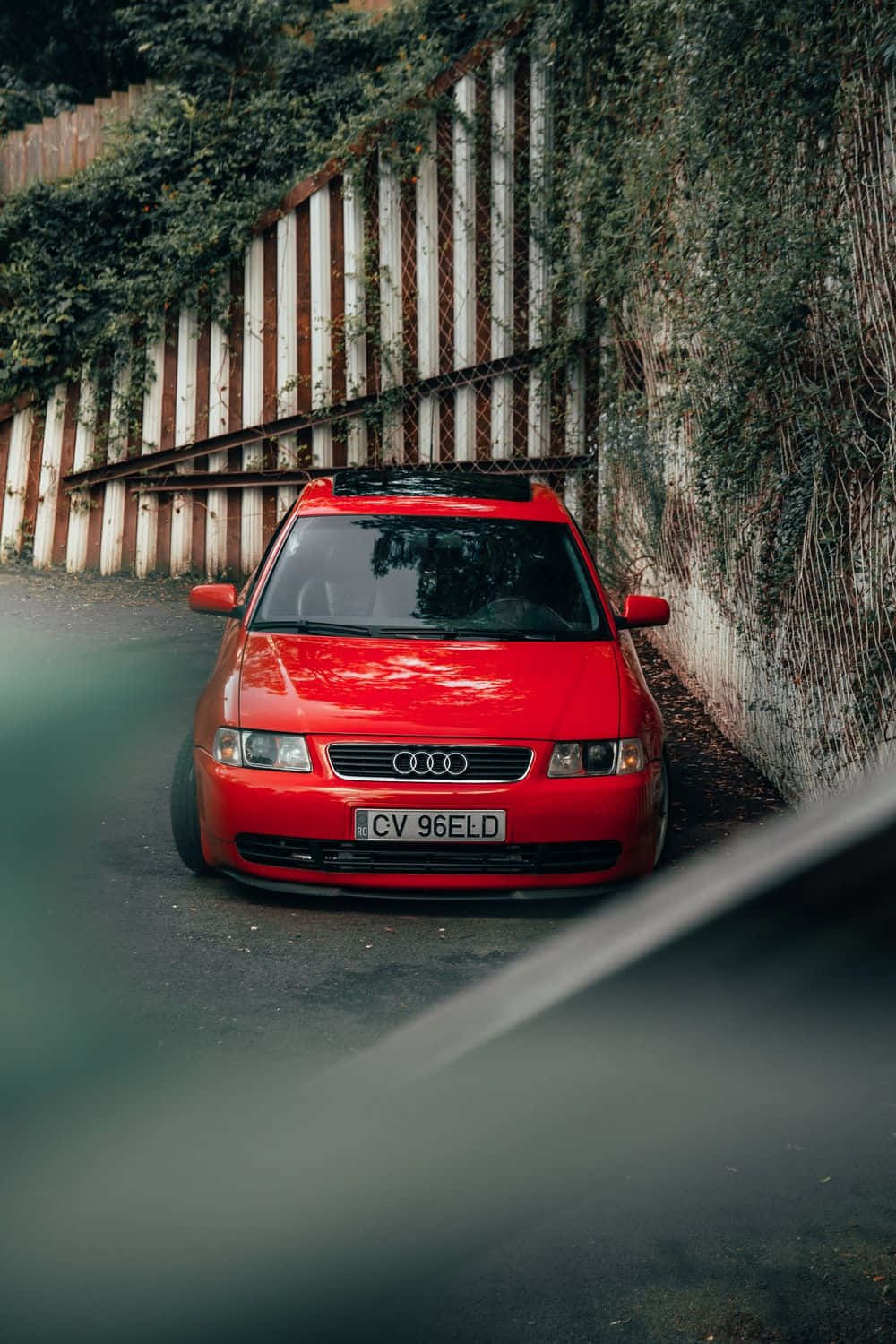 Sleek Audi S3 in the urban jungle Wallpaper
