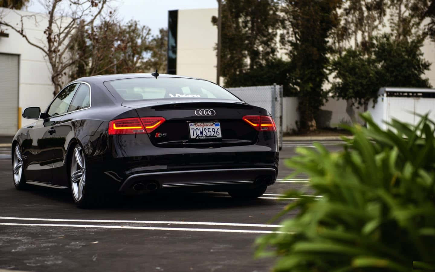 Captivating Audi S5 in Motion Wallpaper