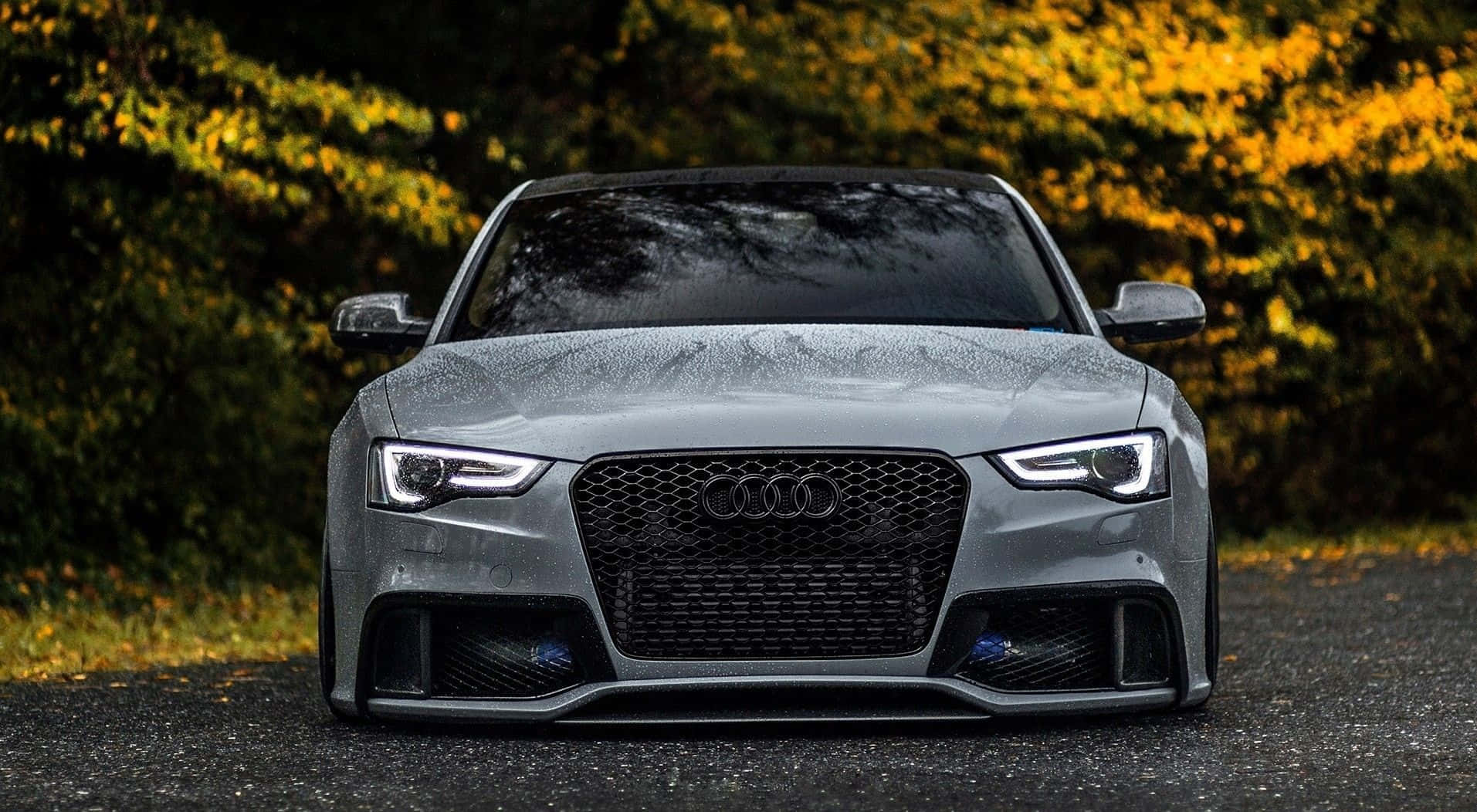 Sleek Audi S5 in Motion Wallpaper