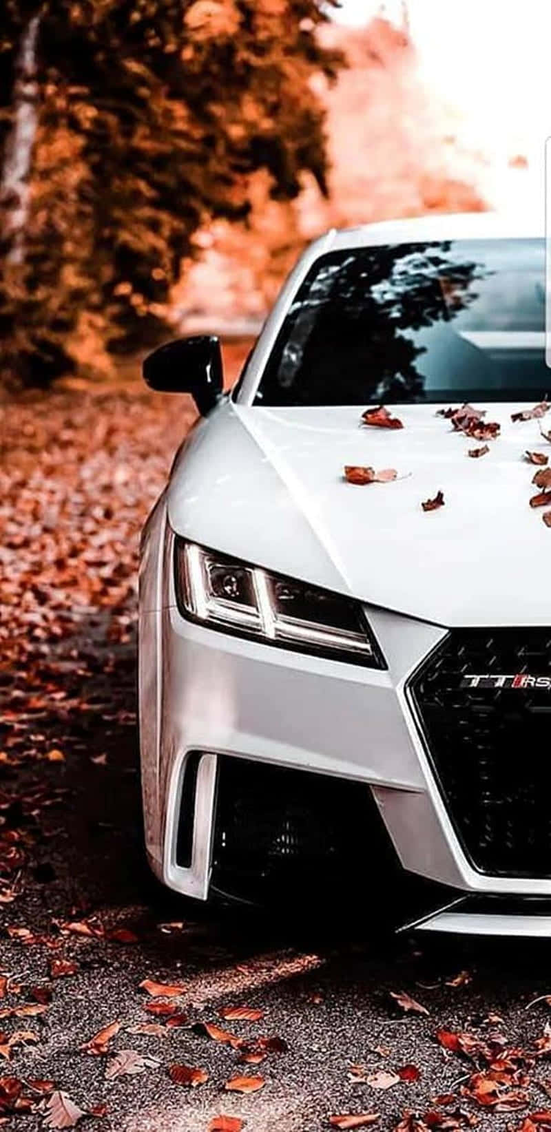 Audi TT RS: A Compelling Beauty Wallpaper