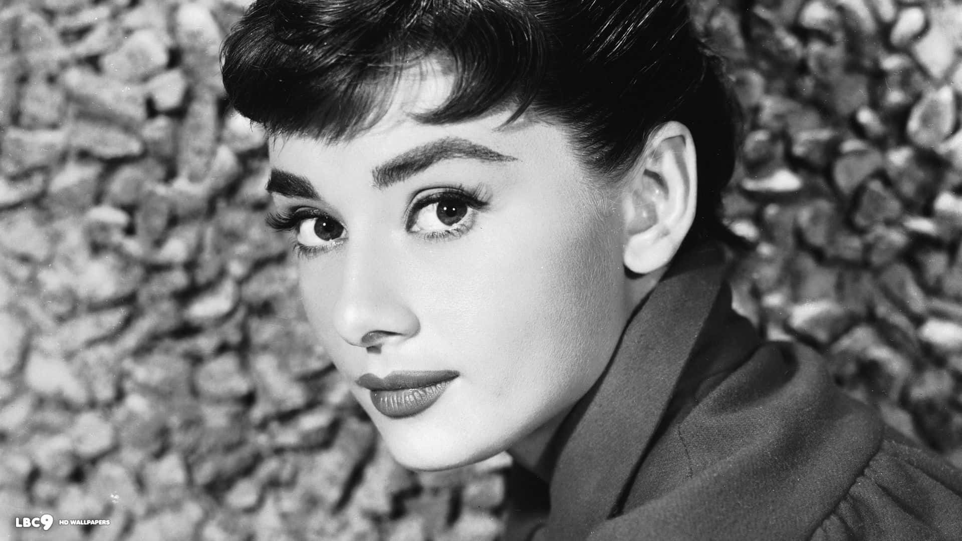 Classic Beauty - Audrey Hepburn