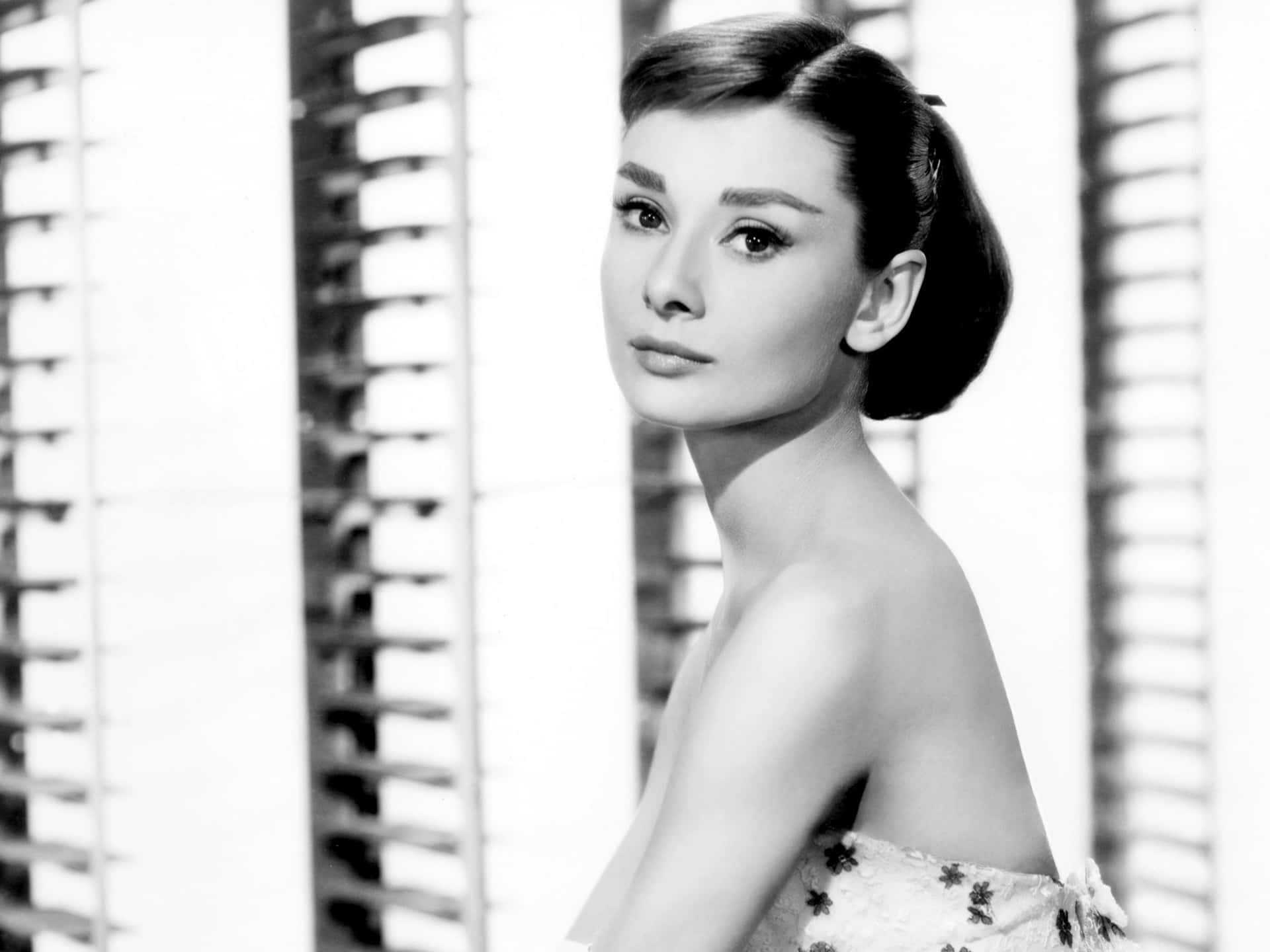 Audrey Hepburn Radiates Elegance