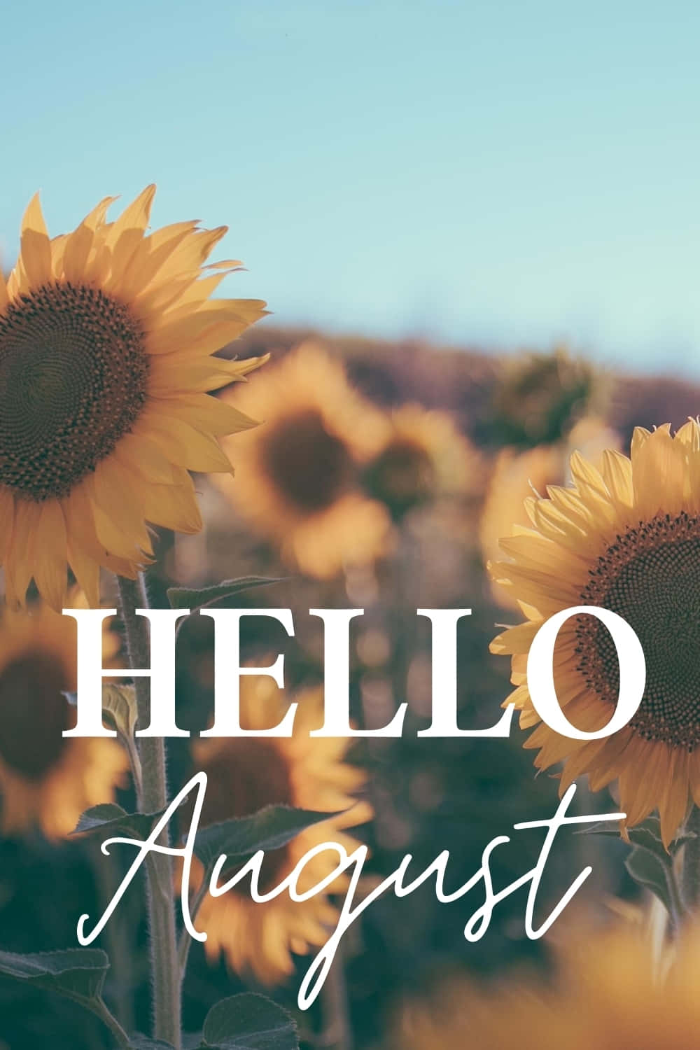 Enjoy the beauty of August