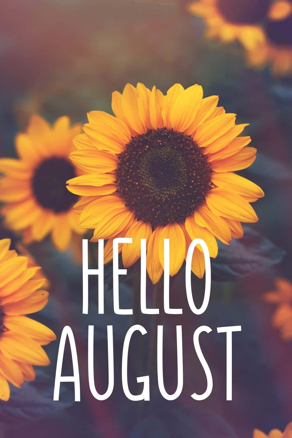 Celebrate the warmth of August