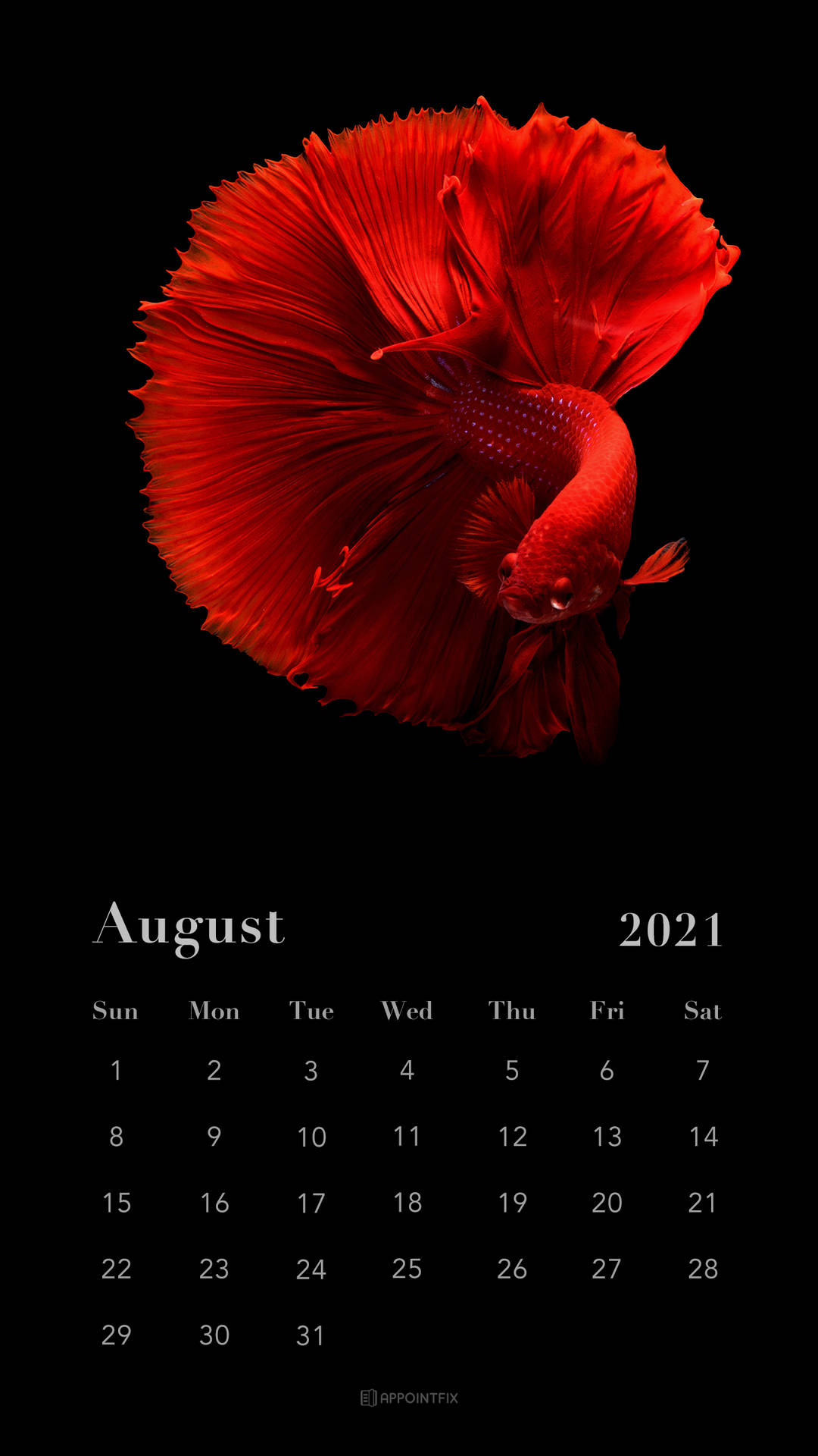 August 2021 Calendar Background