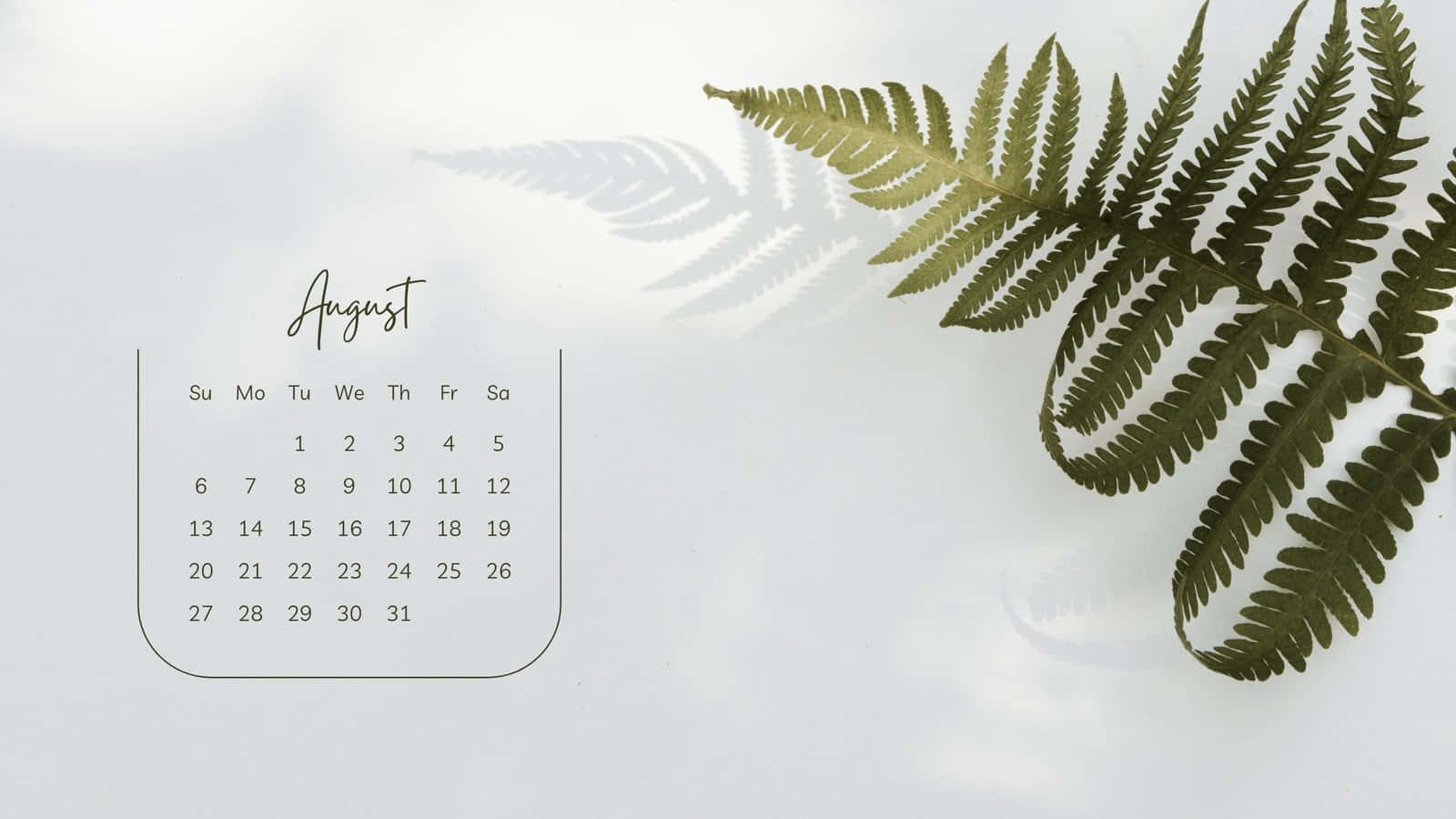 August Calendar Fern Shadow Desktop Background Wallpaper