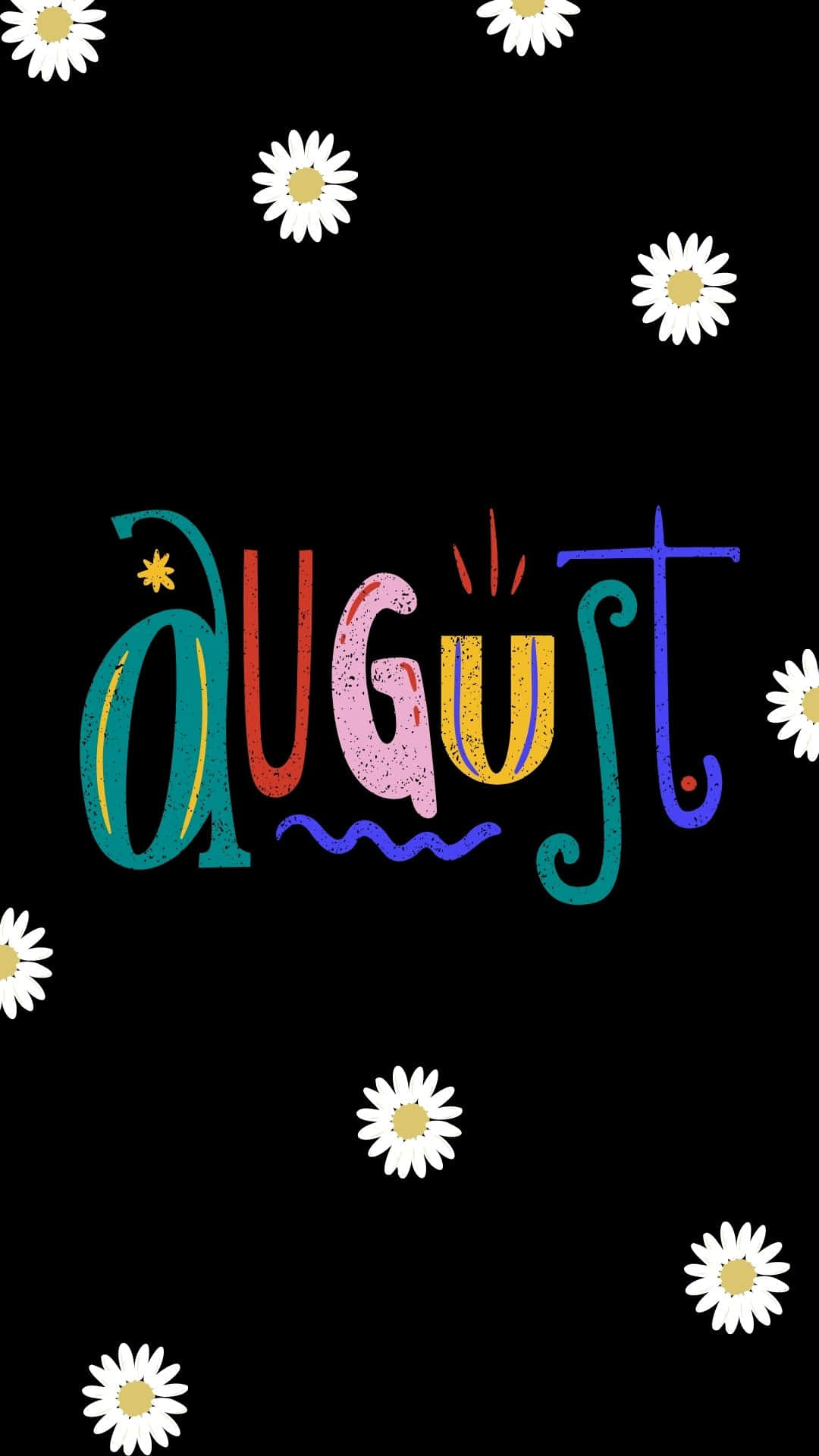 August Daisy Black Background Illustration Wallpaper