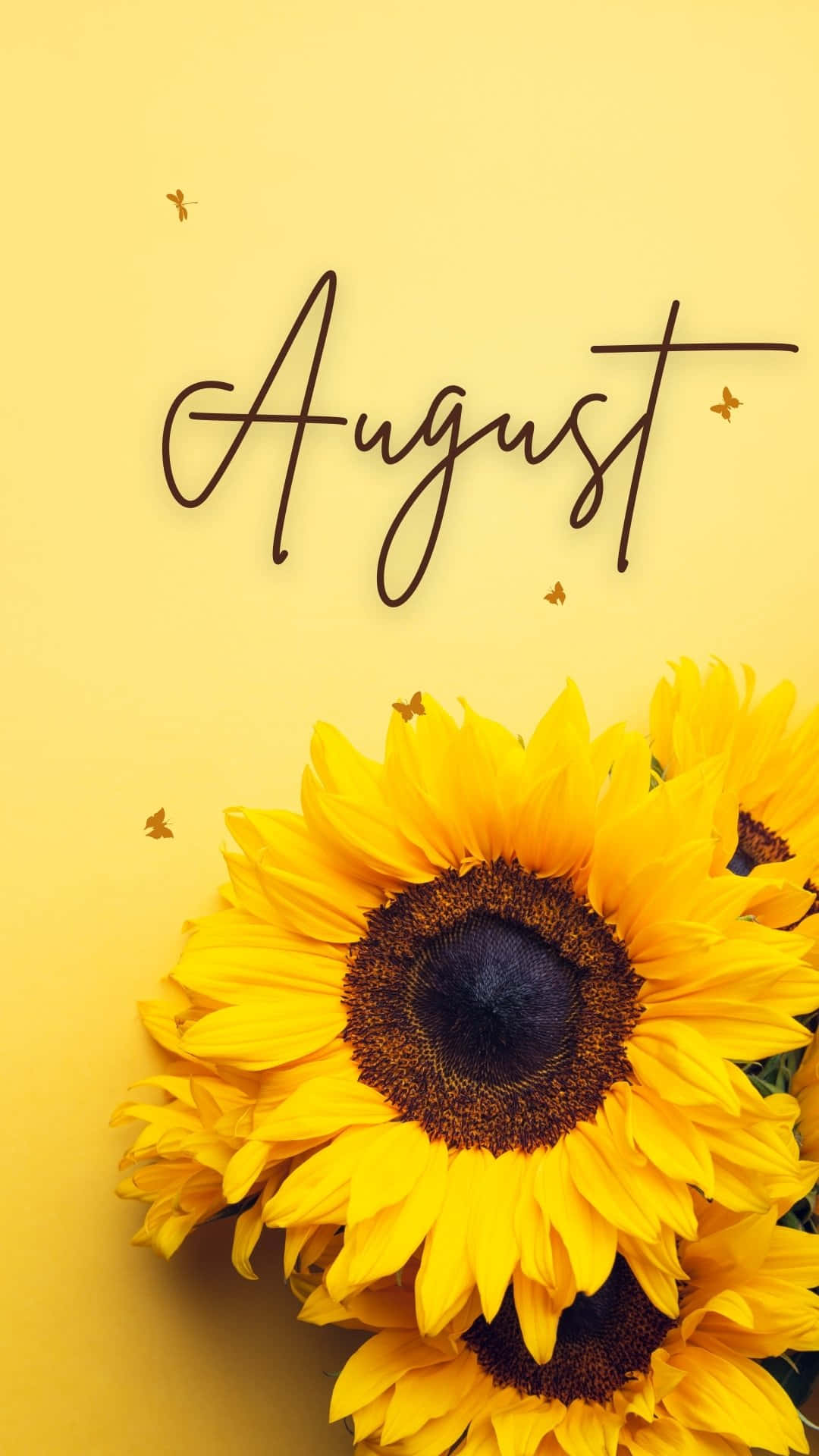 August Sunflower Aesthetic.jpg Wallpaper