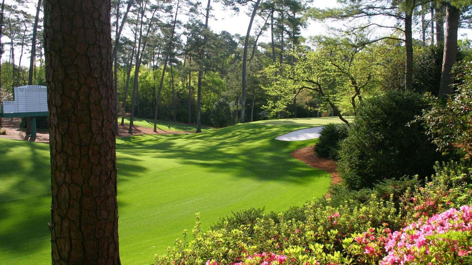 Augusta National Golf Course View. Wallpaper