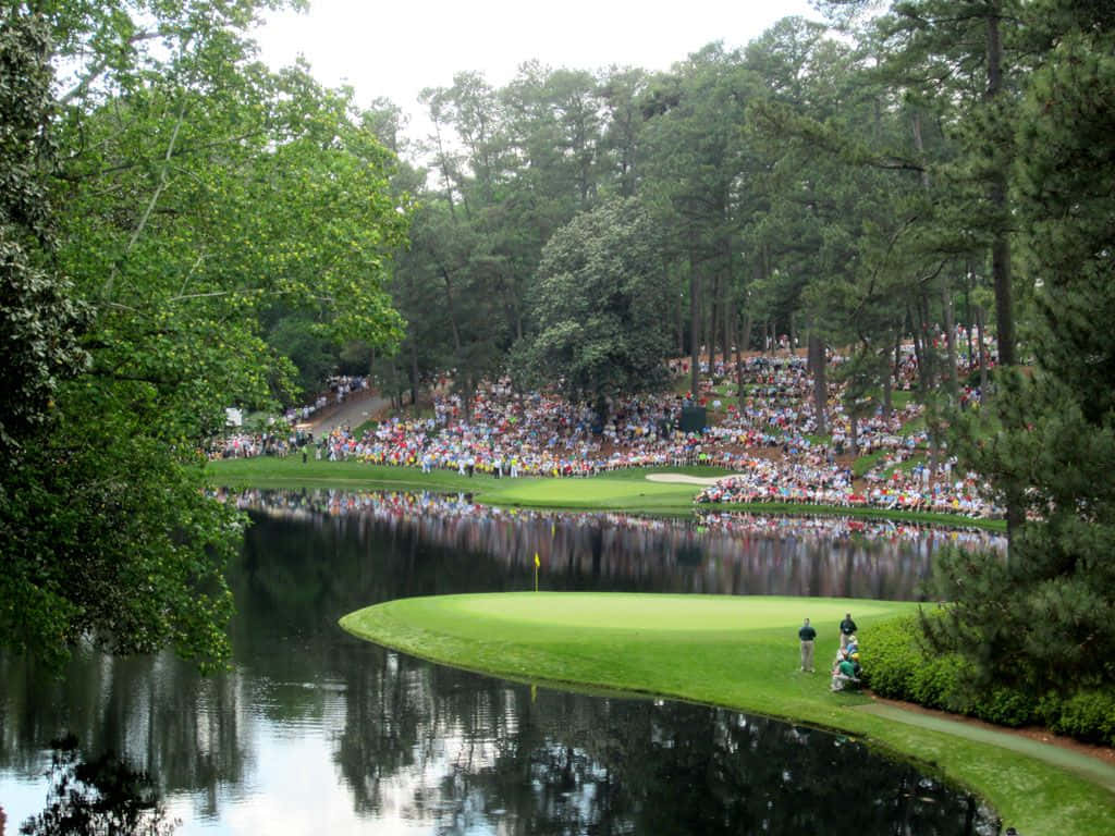 Einegroße Menschenmenge Beobachtet Golfer Beim Spielen. Wallpaper