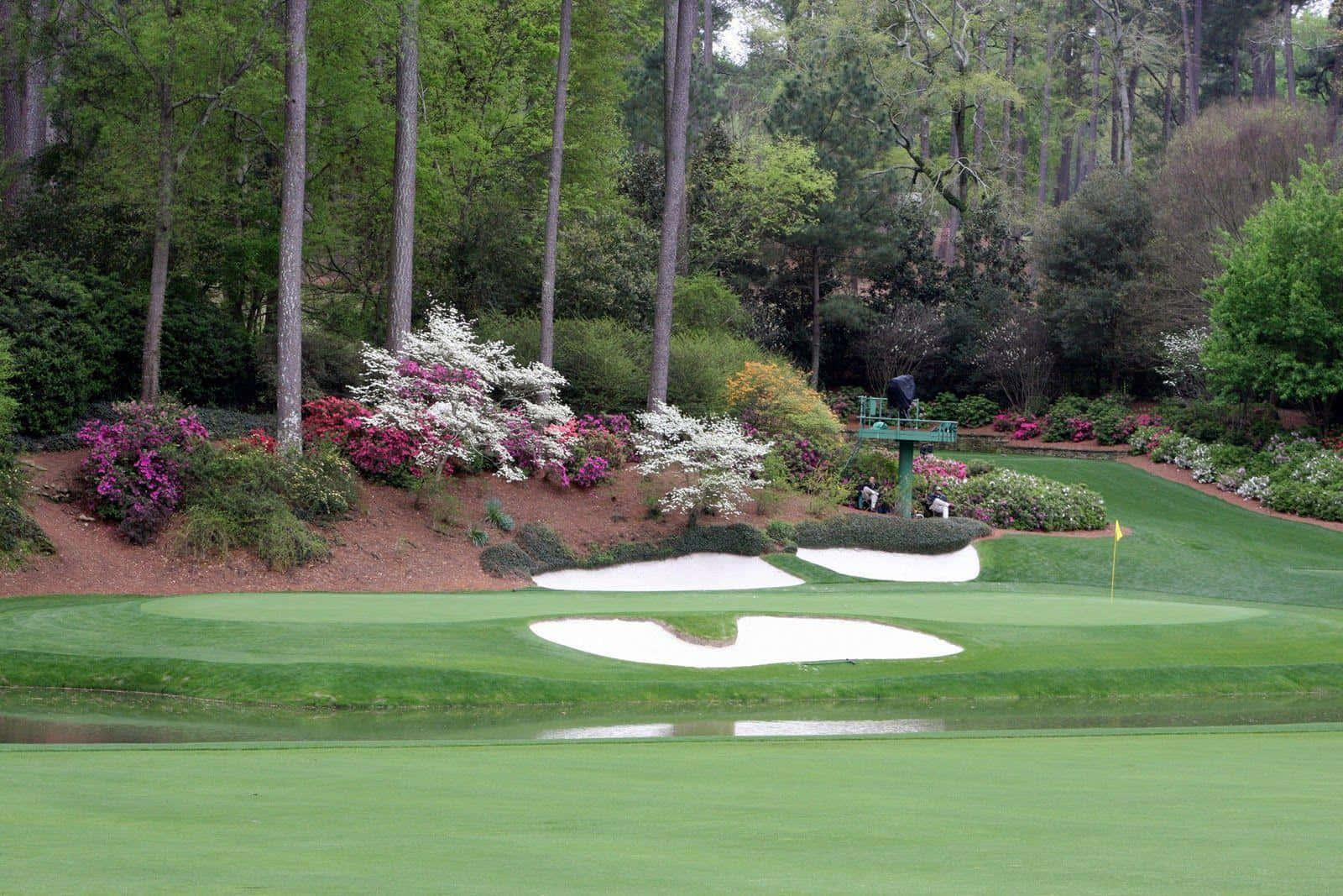 En golfbane med træer og buske Wallpaper