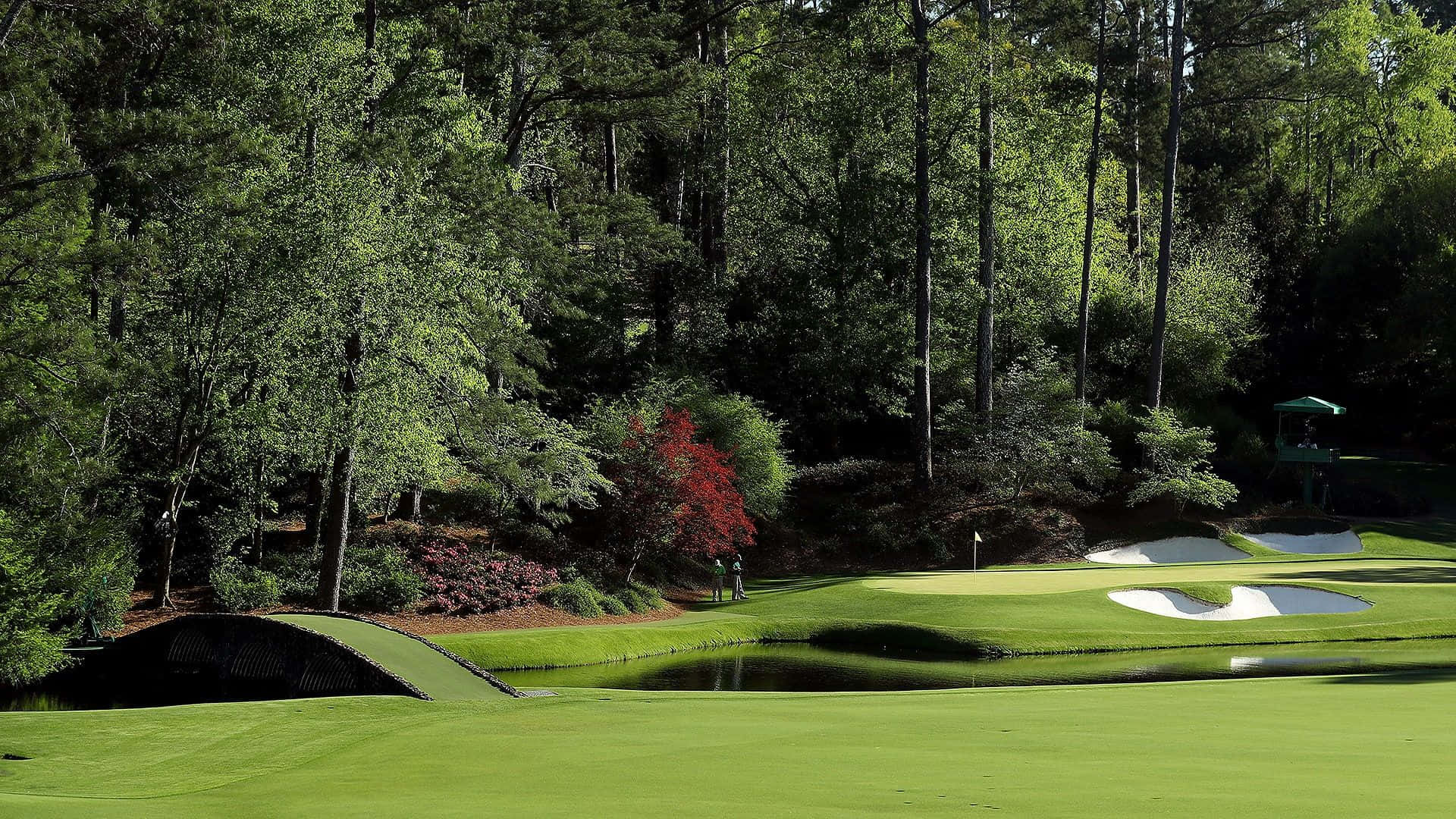 Augusta National Golf Course Trees Wallpaper