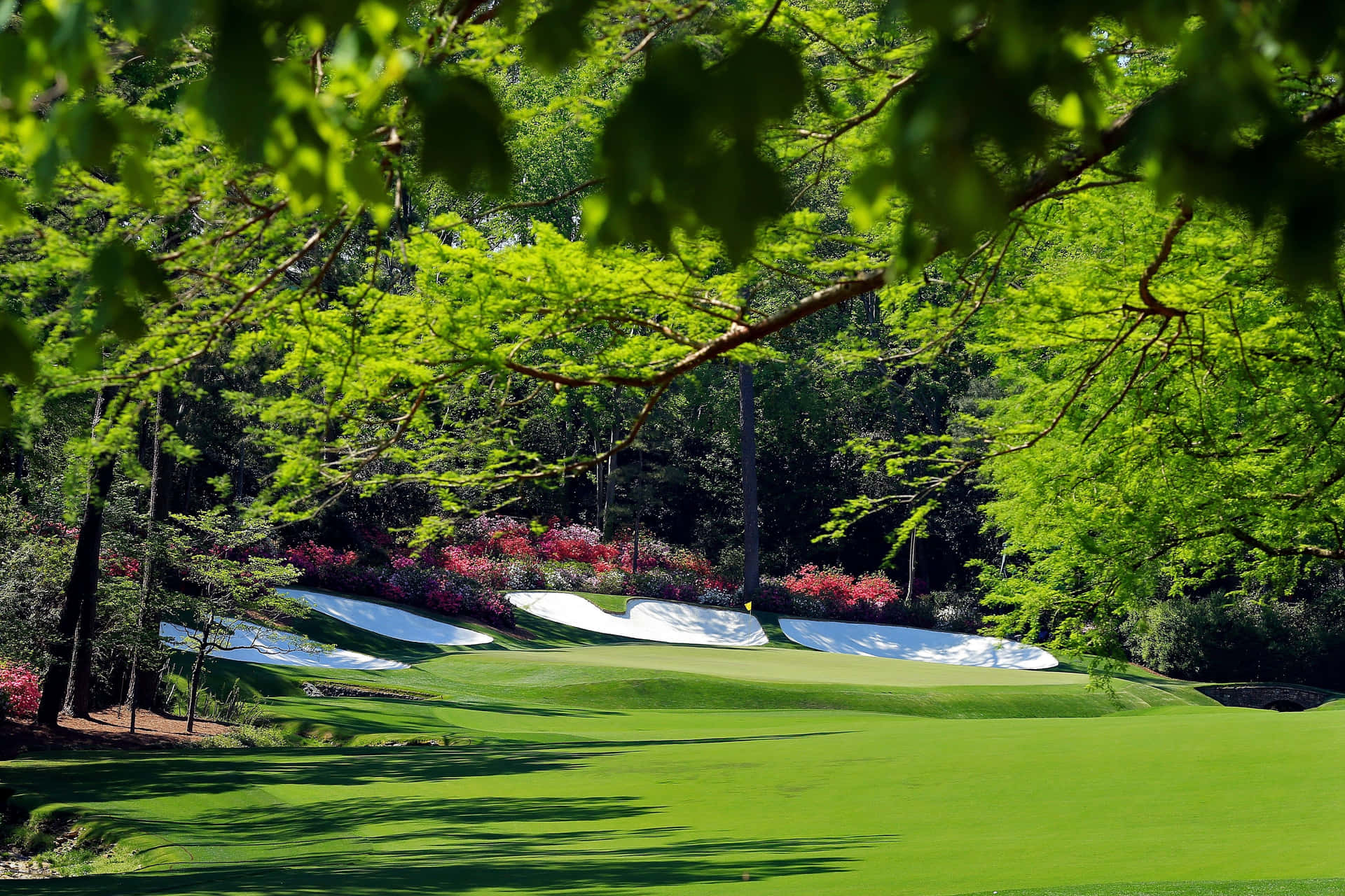 Augusta National Golf Course Greenery Wallpaper