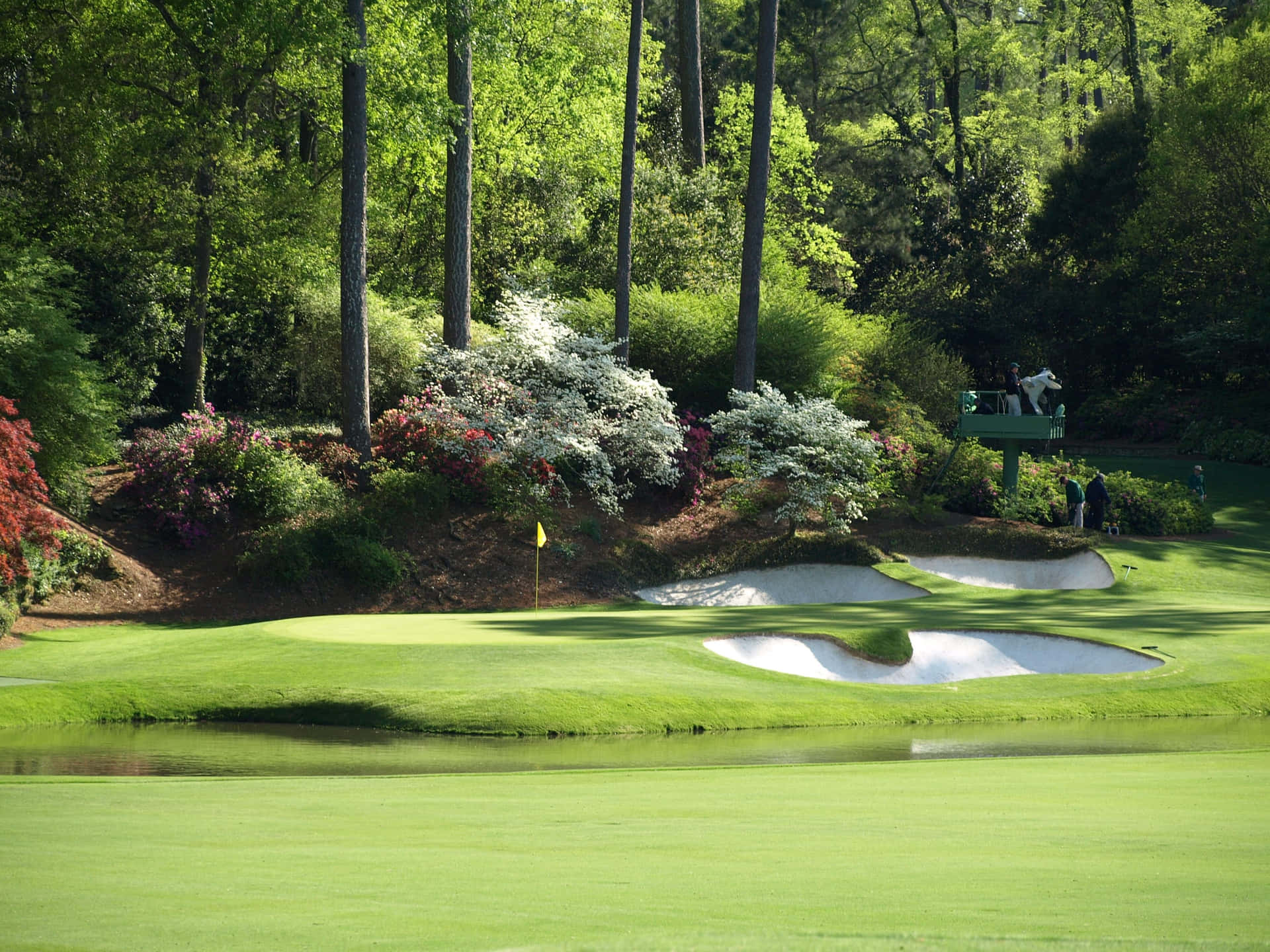 A picturesque view of Augusta National Golf Course, captured on iPhone Wallpaper