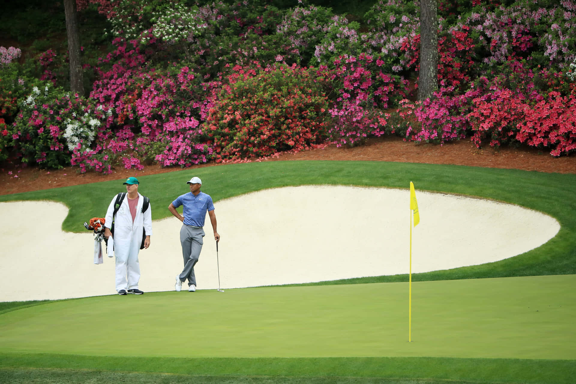 "Experience Augusta National, the iconic golf club, from your iPhone!" Wallpaper