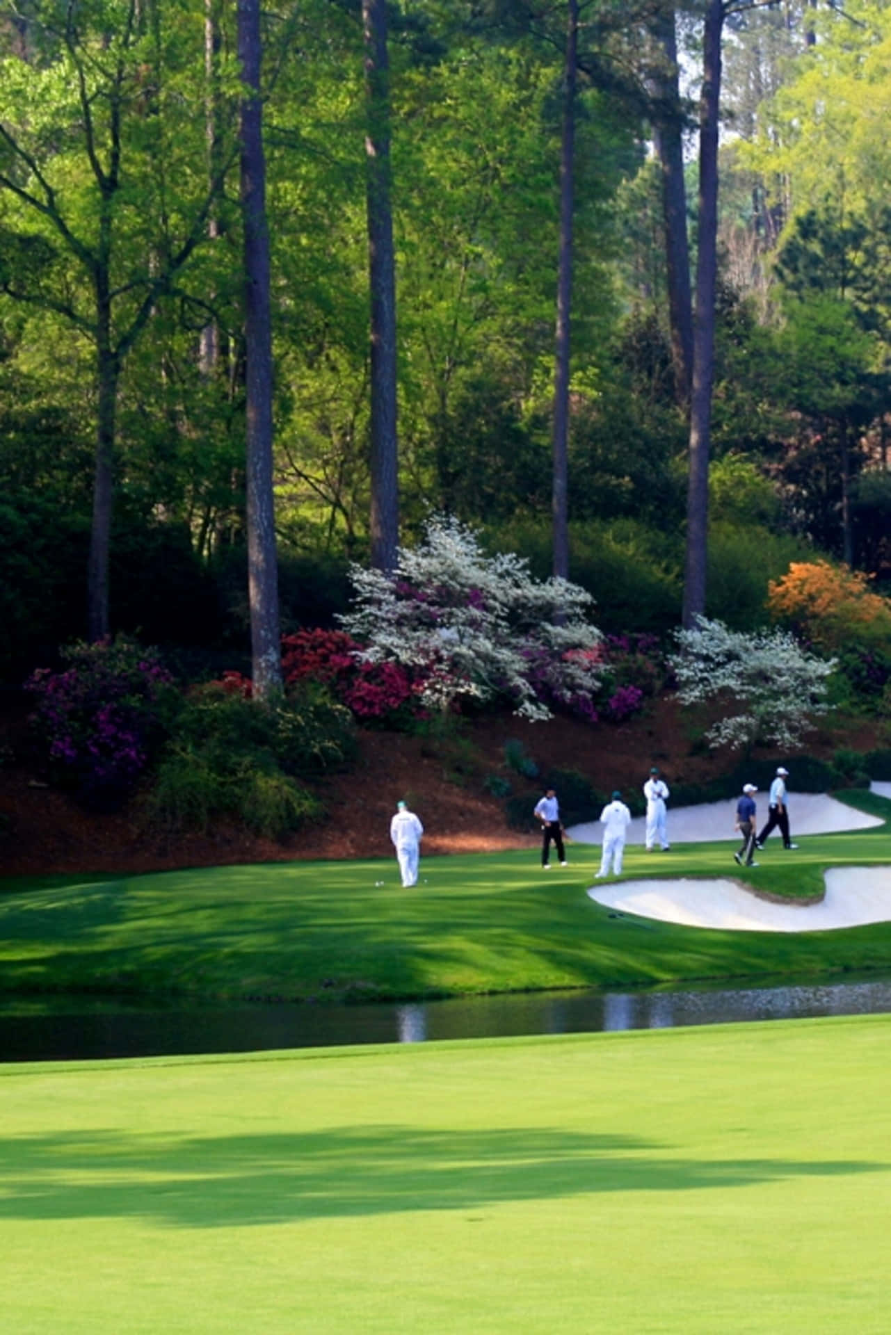 People Playing At Augusta National Iphone Wallpaper