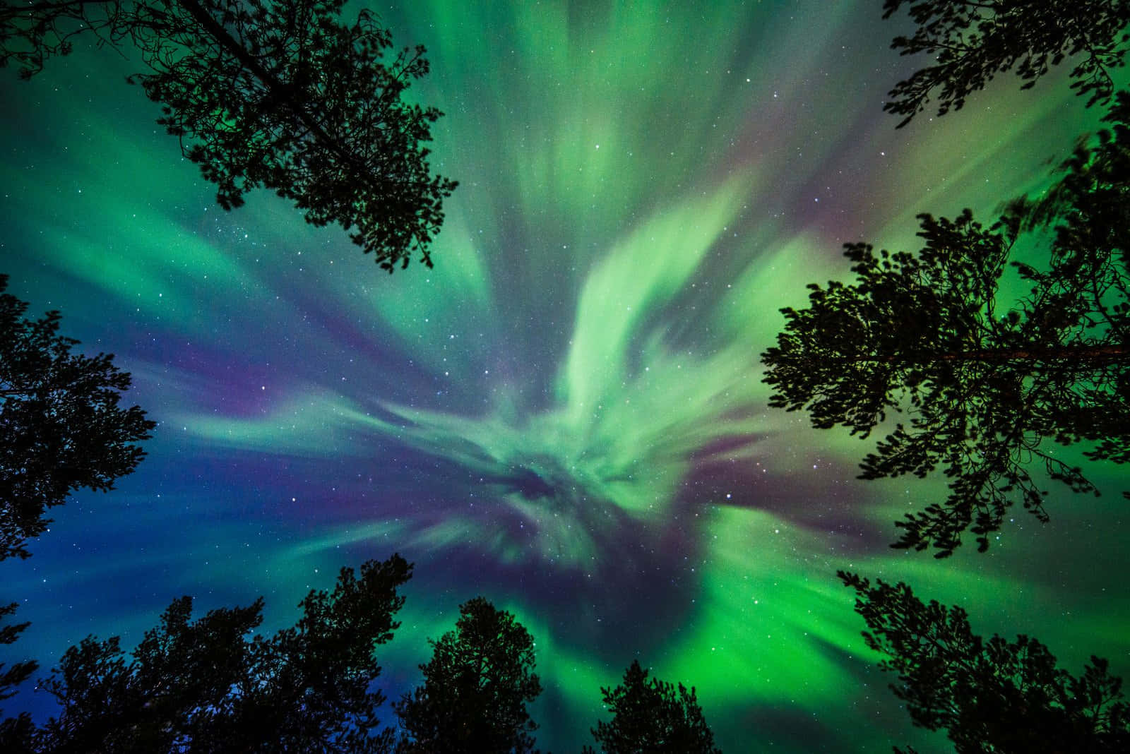 Captivating Aurora Borealis dancing across the night sky Wallpaper