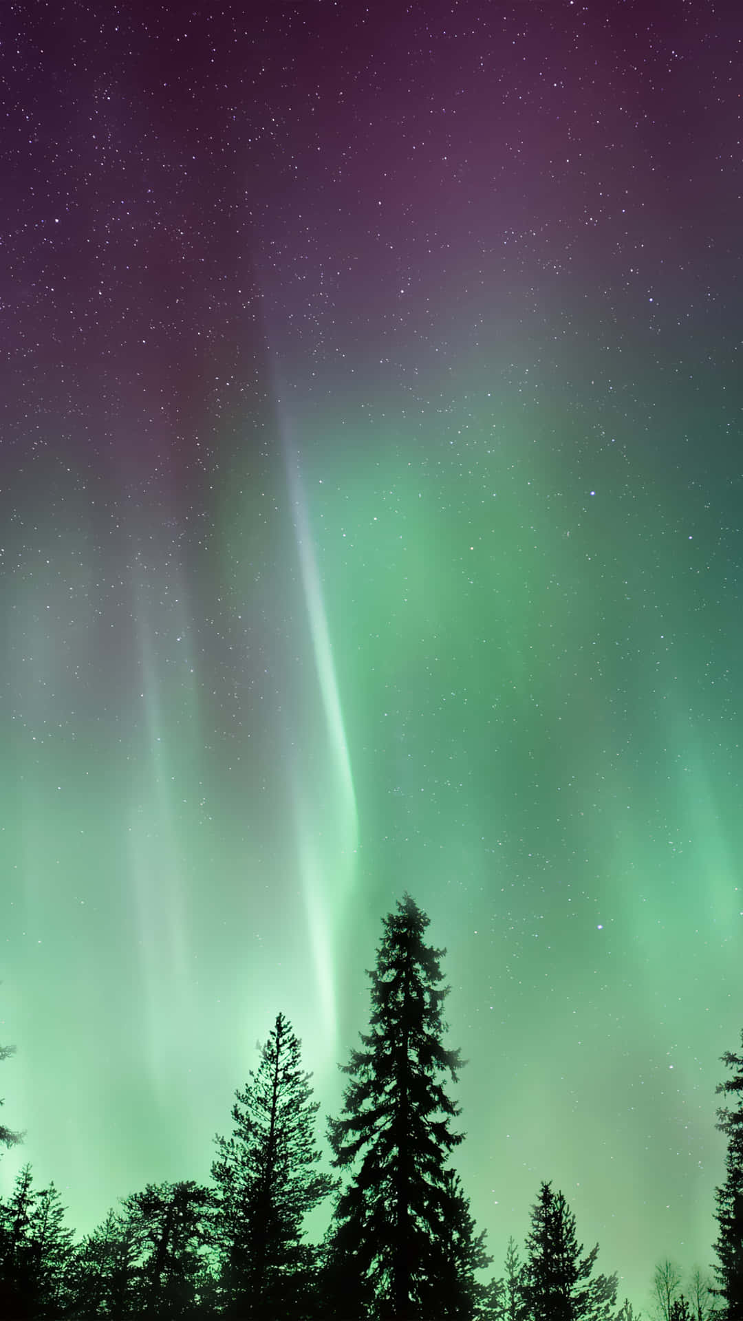 Majestic Aurora Borealis Lighting Up the Night Sky Wallpaper