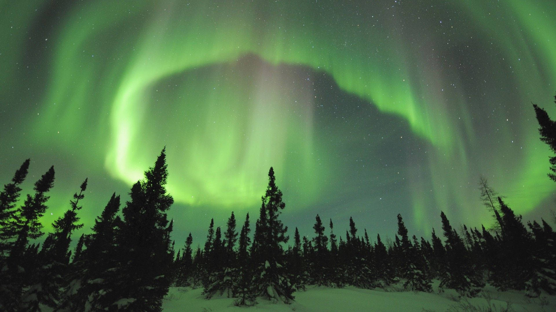 Aurora Borealis Green Sky Wallpaper