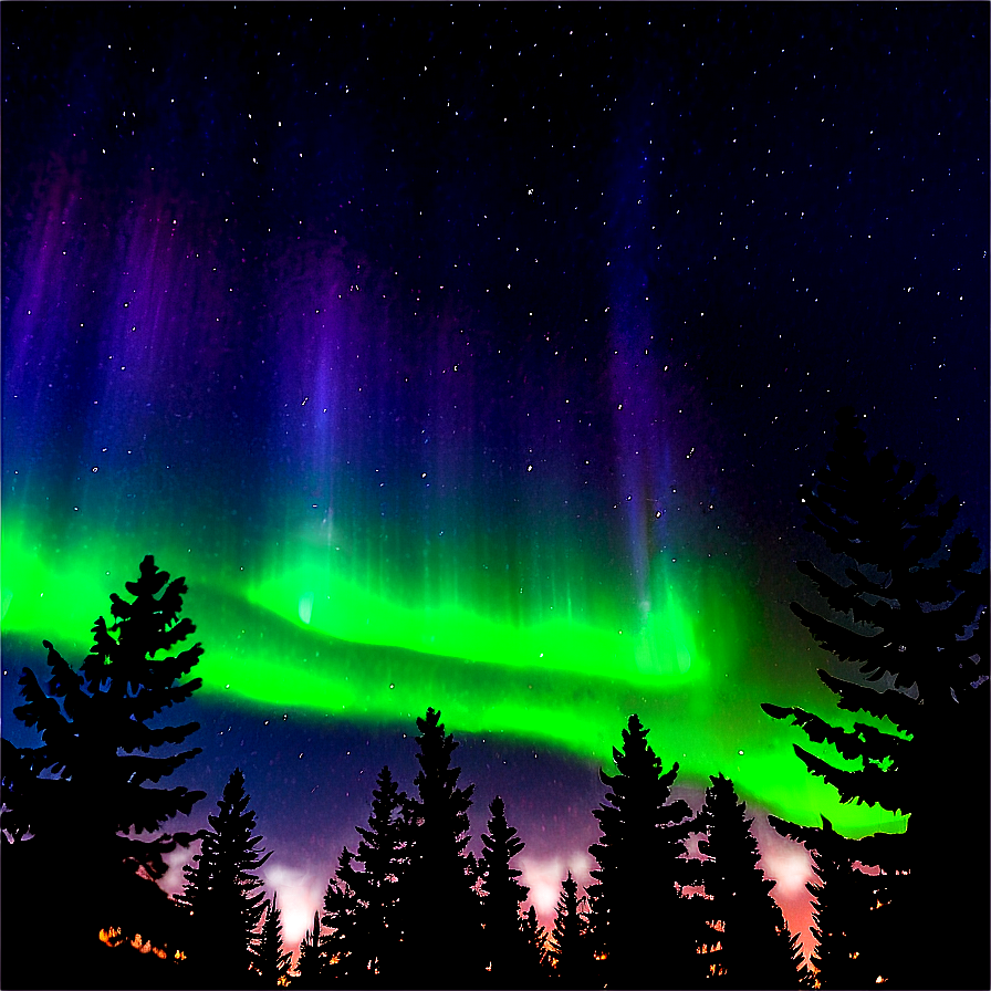 Aurora Borealis Through Pine Trees Png 16 PNG