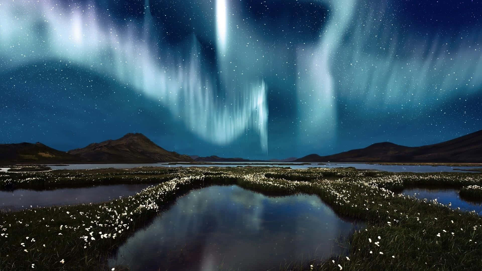 "Take In The Beauty Of The Aurora"