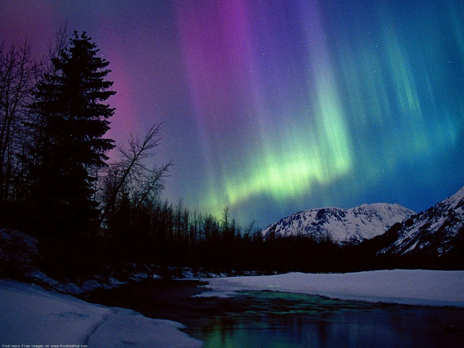 Unespectacular Aurora Boreal Iluminando El Cielo