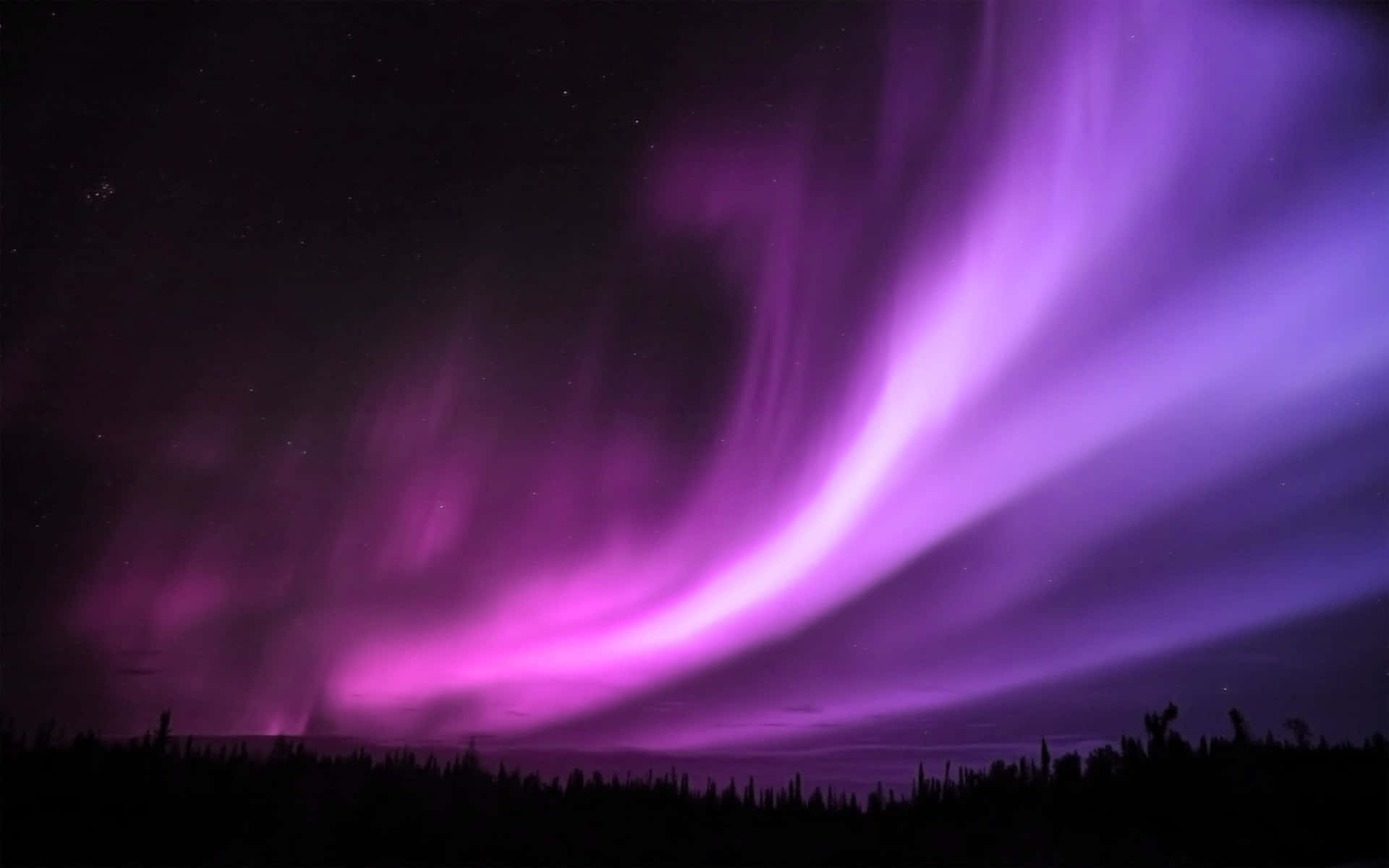 Spectacular Aurora borealis lights up the night