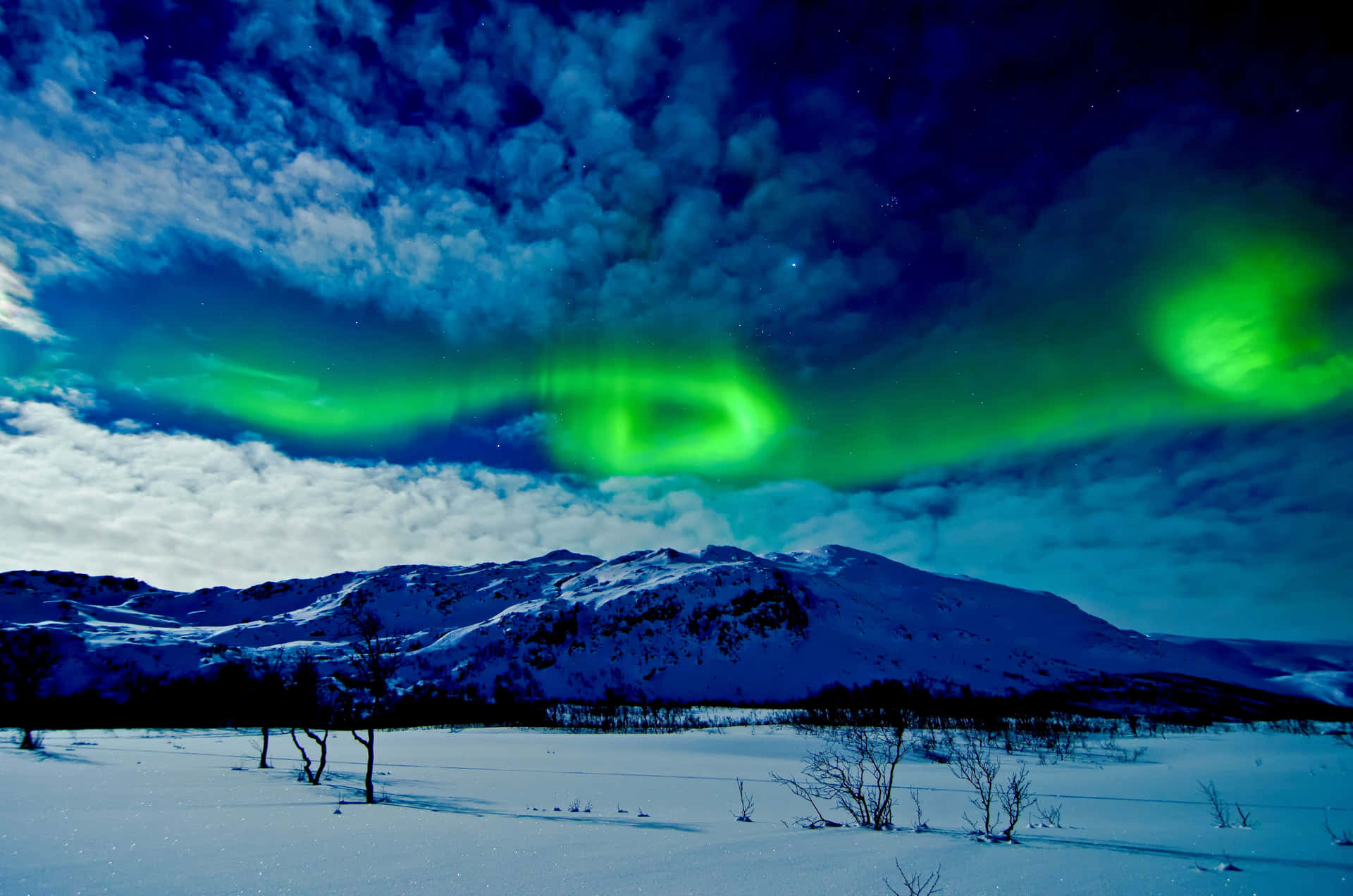"The vibrant colors of the aurora fill the night sky"