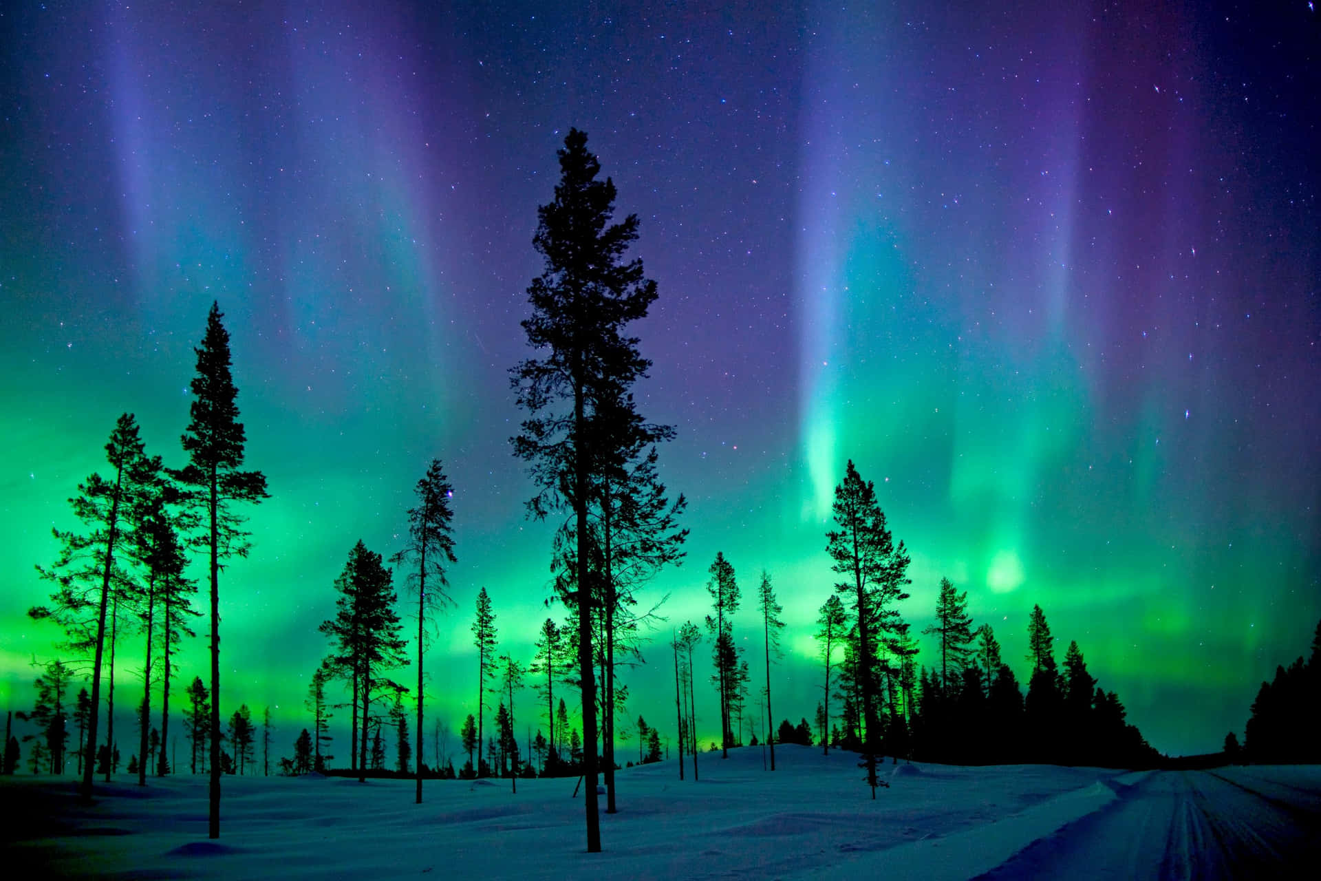 Enav Naturens Mest Fantastiska Belysningar - Aurora