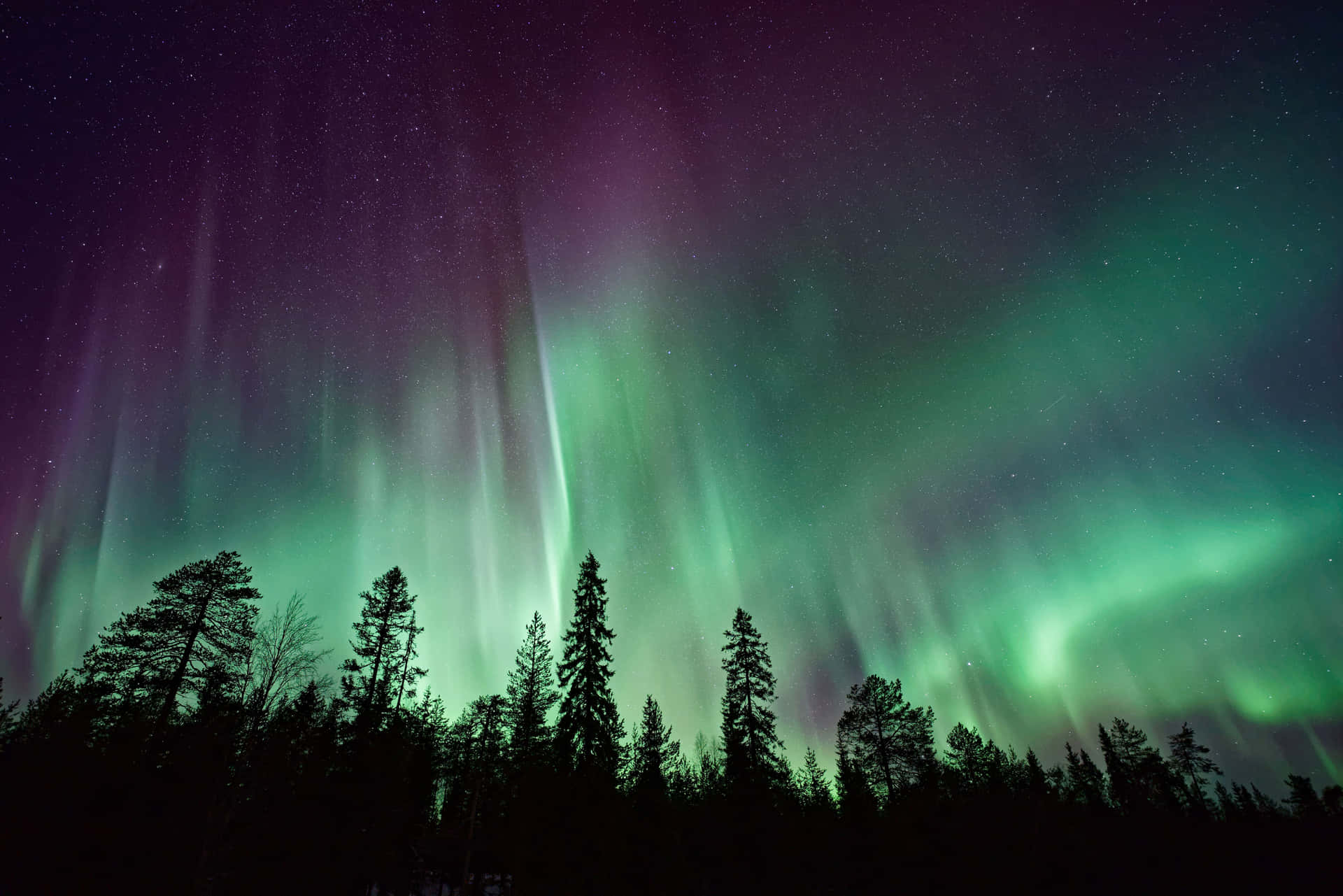 An Amazing Aurora Borealis Light Show