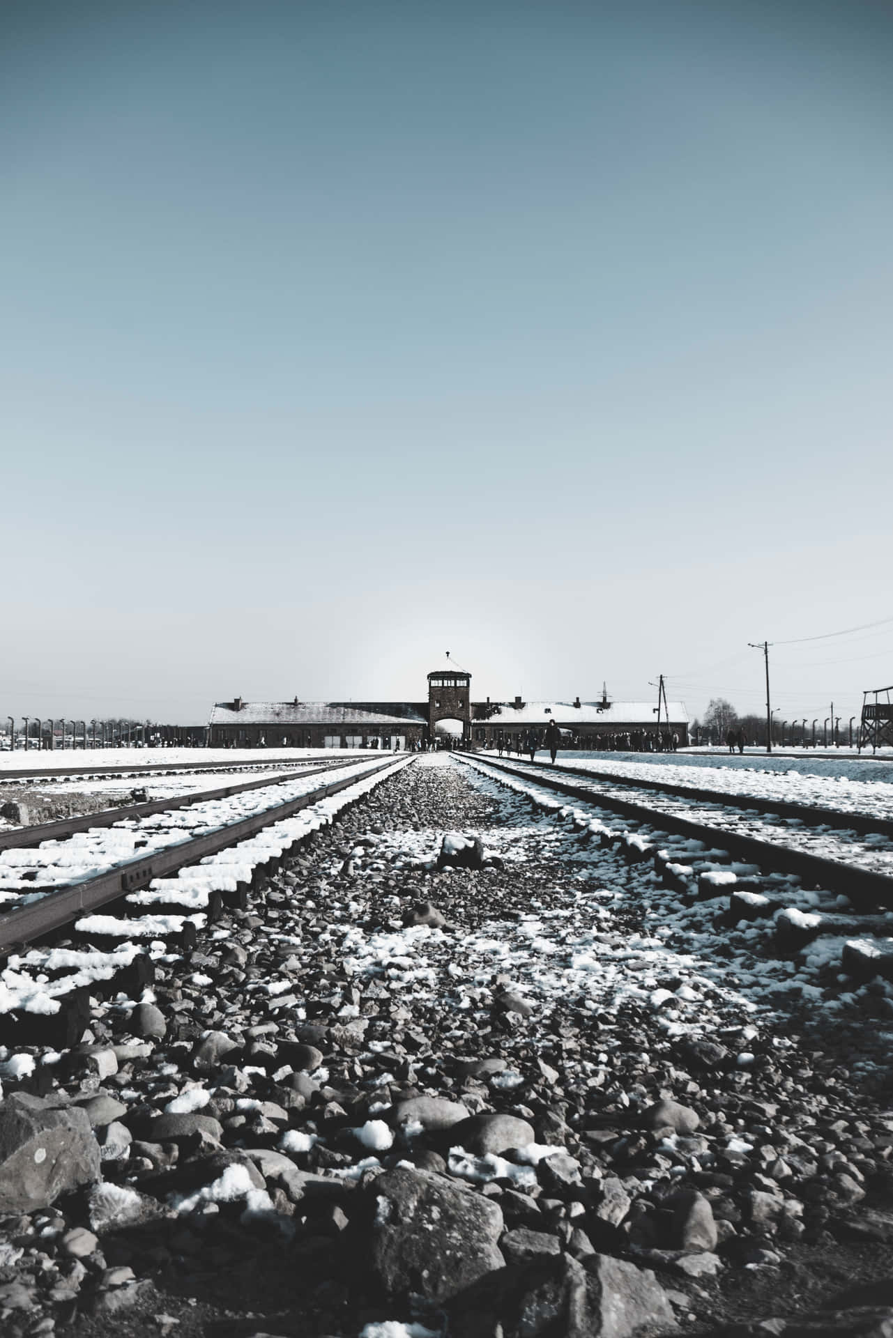 Auschwitz Birkenau Concentration Camp Aesthetic Portrait Picture