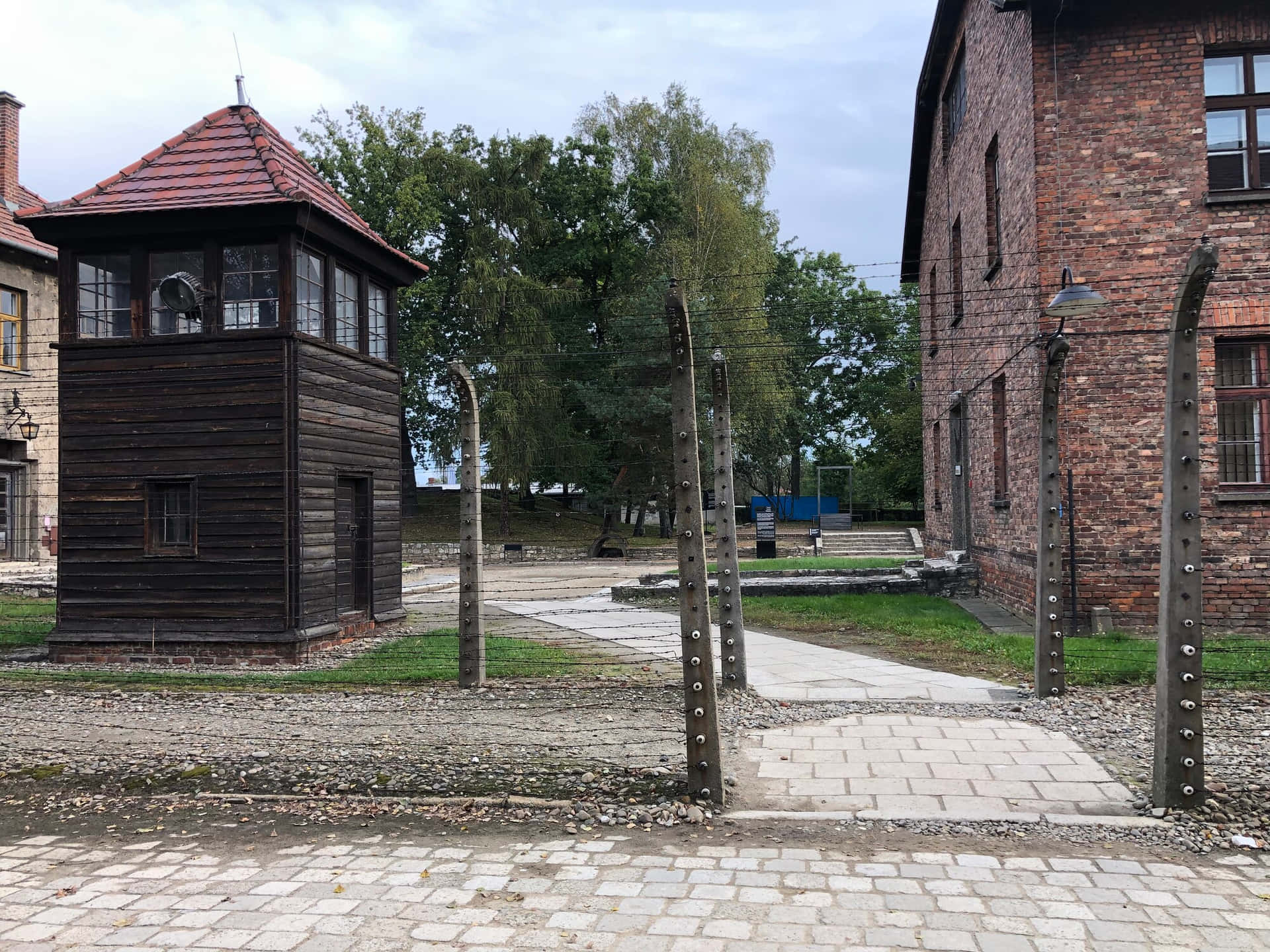 Auschwitz Birkenau State Museum Fence Picture