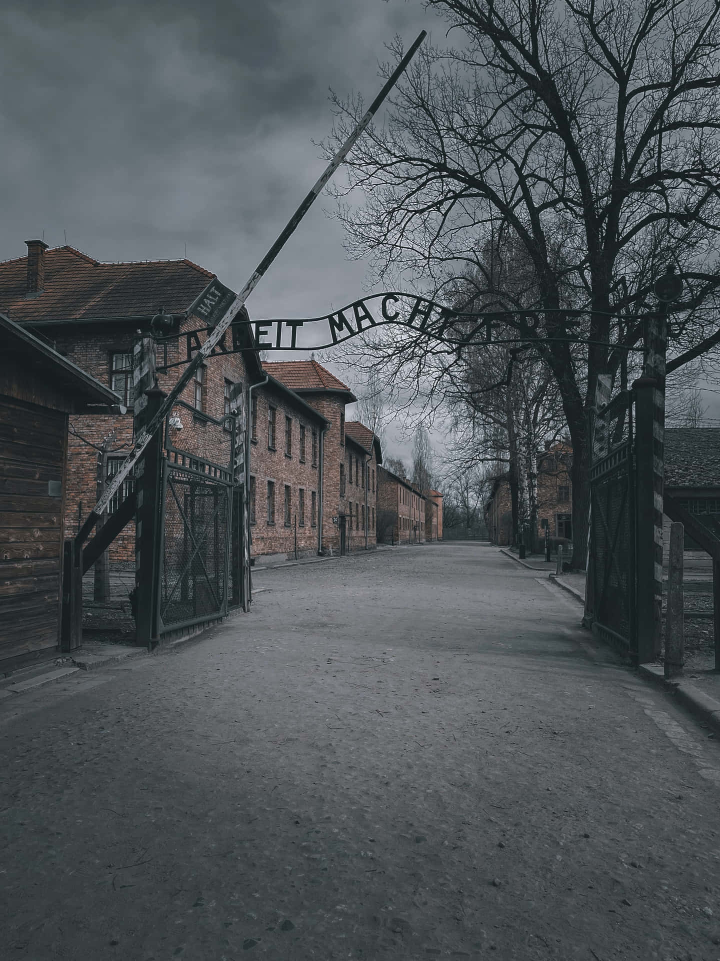Auschwitz Concentration Camp Gate Dramatic Filter Picture