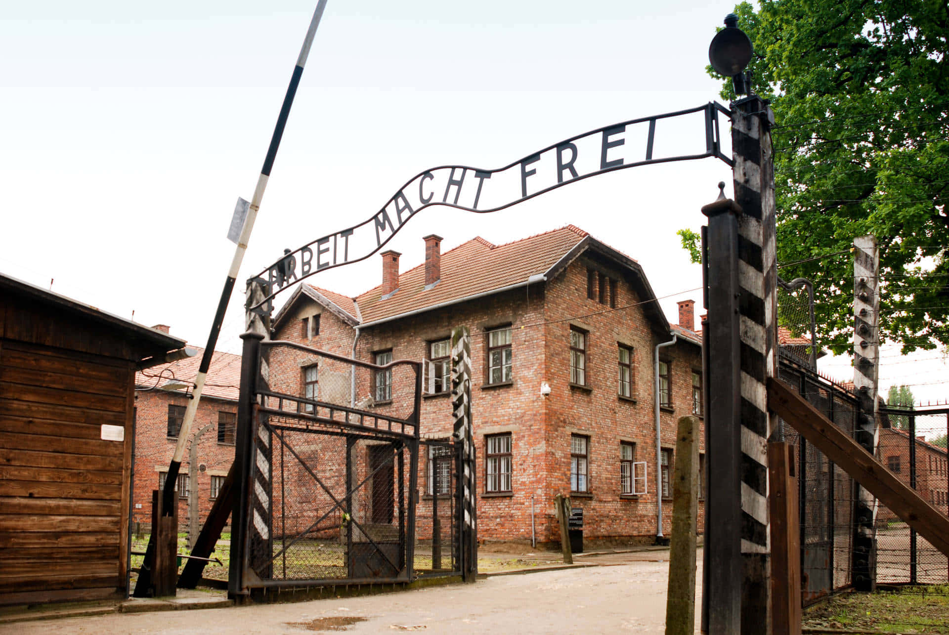 Auschwitz Concentration Camp Gate Perspective Angle Picture