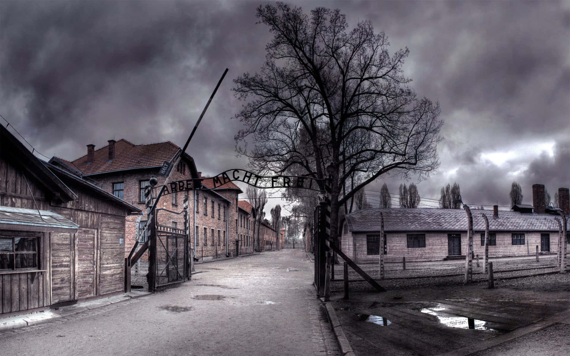 Auschwitz Concentration Camp Site Gate Wide Angle Shot Picture