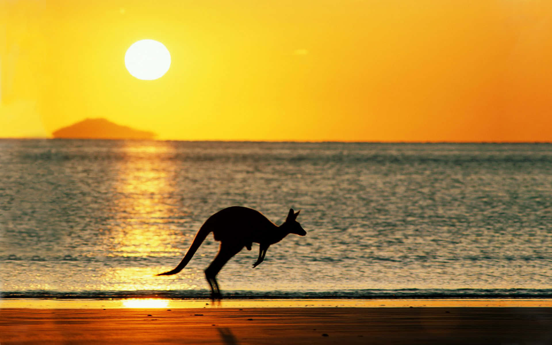 Explore the myriad wonders of Australia