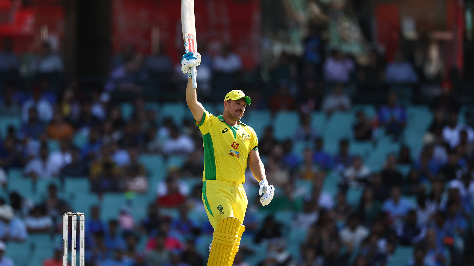 Australia Cricket Player Aaron Finch