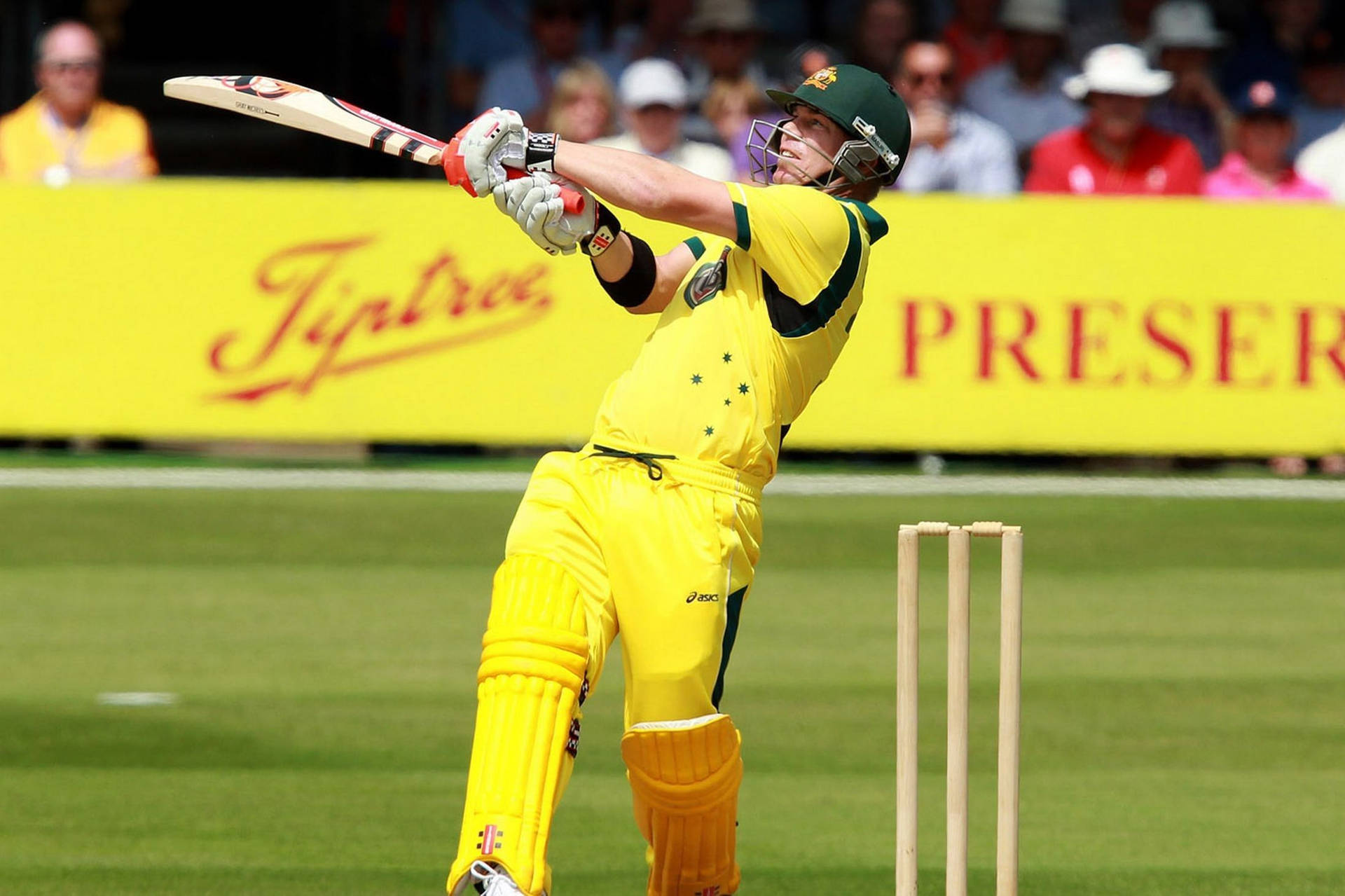 Australia Cricket Player David Warner