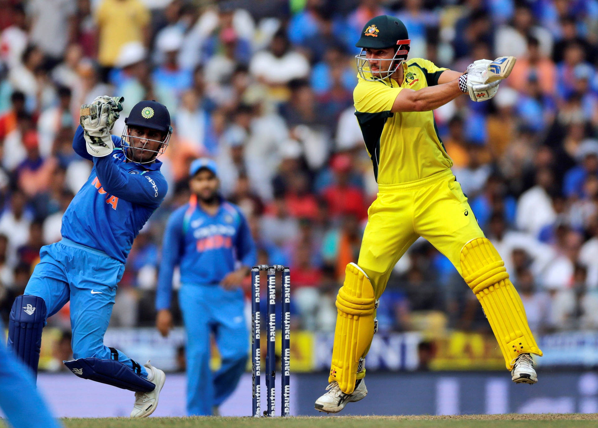 Australia Cricket Player Vs India