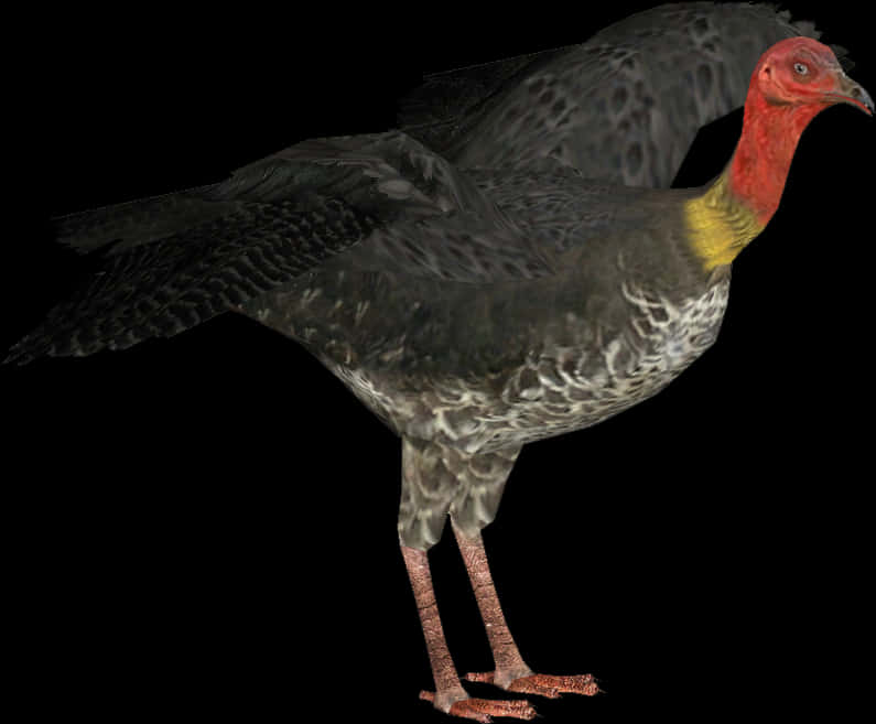 Australian_ Brush_ Turkey_ Profile PNG