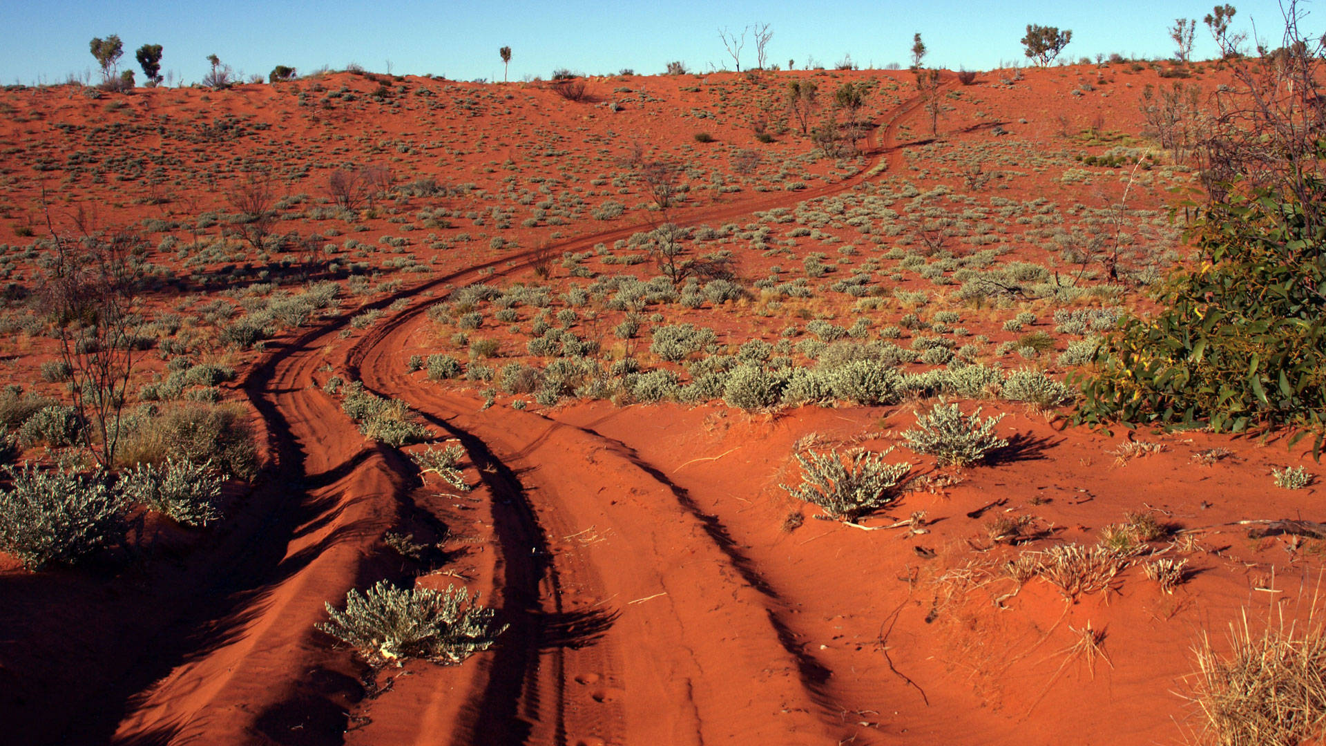 Australian Outback Canning Stock Route Wallpaper