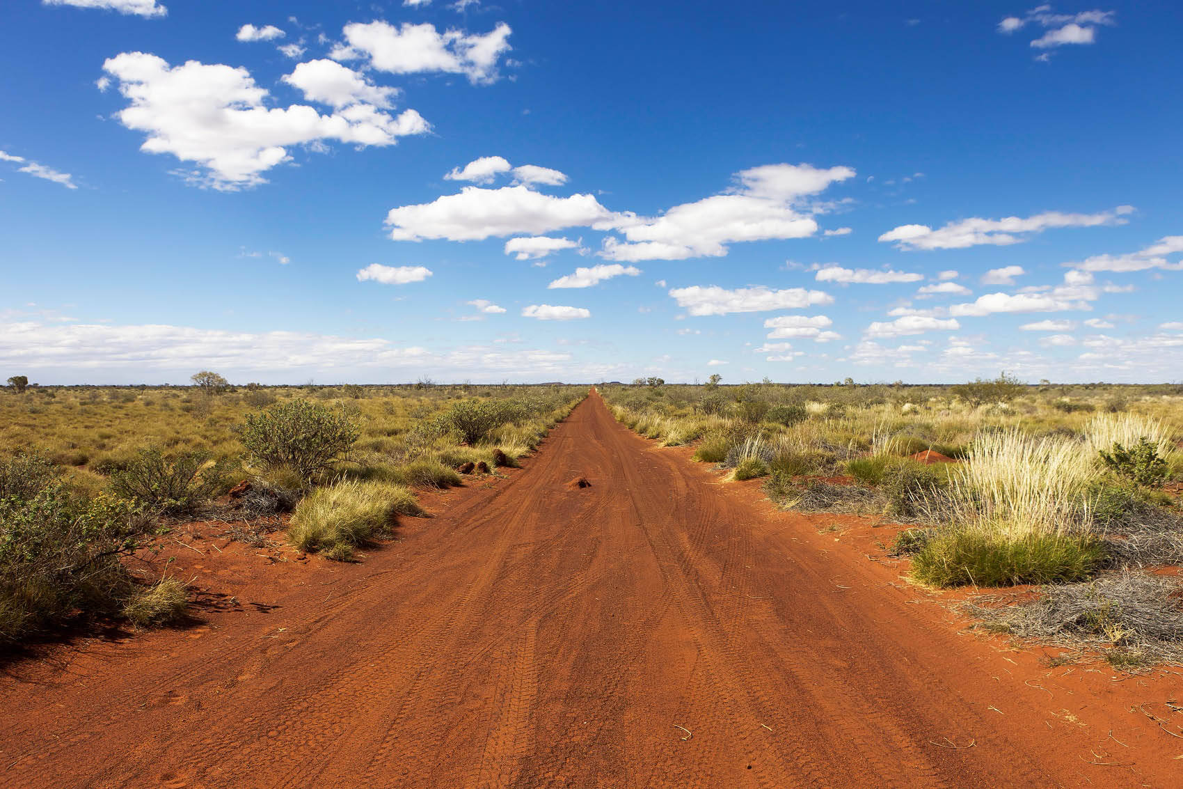 Trilhasde Carros No Deserto Australiano. Papel de Parede
