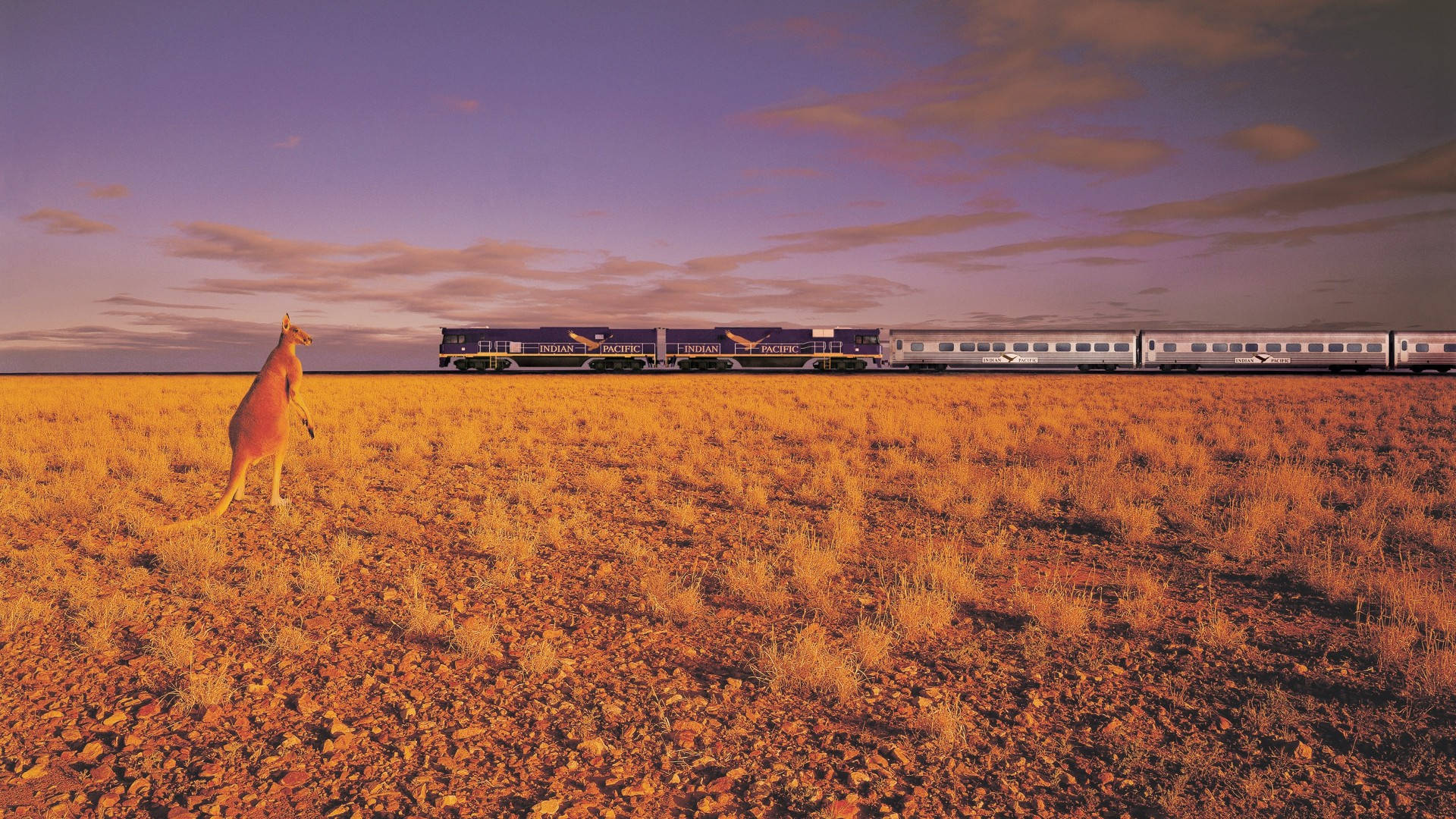 Australiagran Ferrocarril Del Sur Del Outback Australiano Fondo de pantalla
